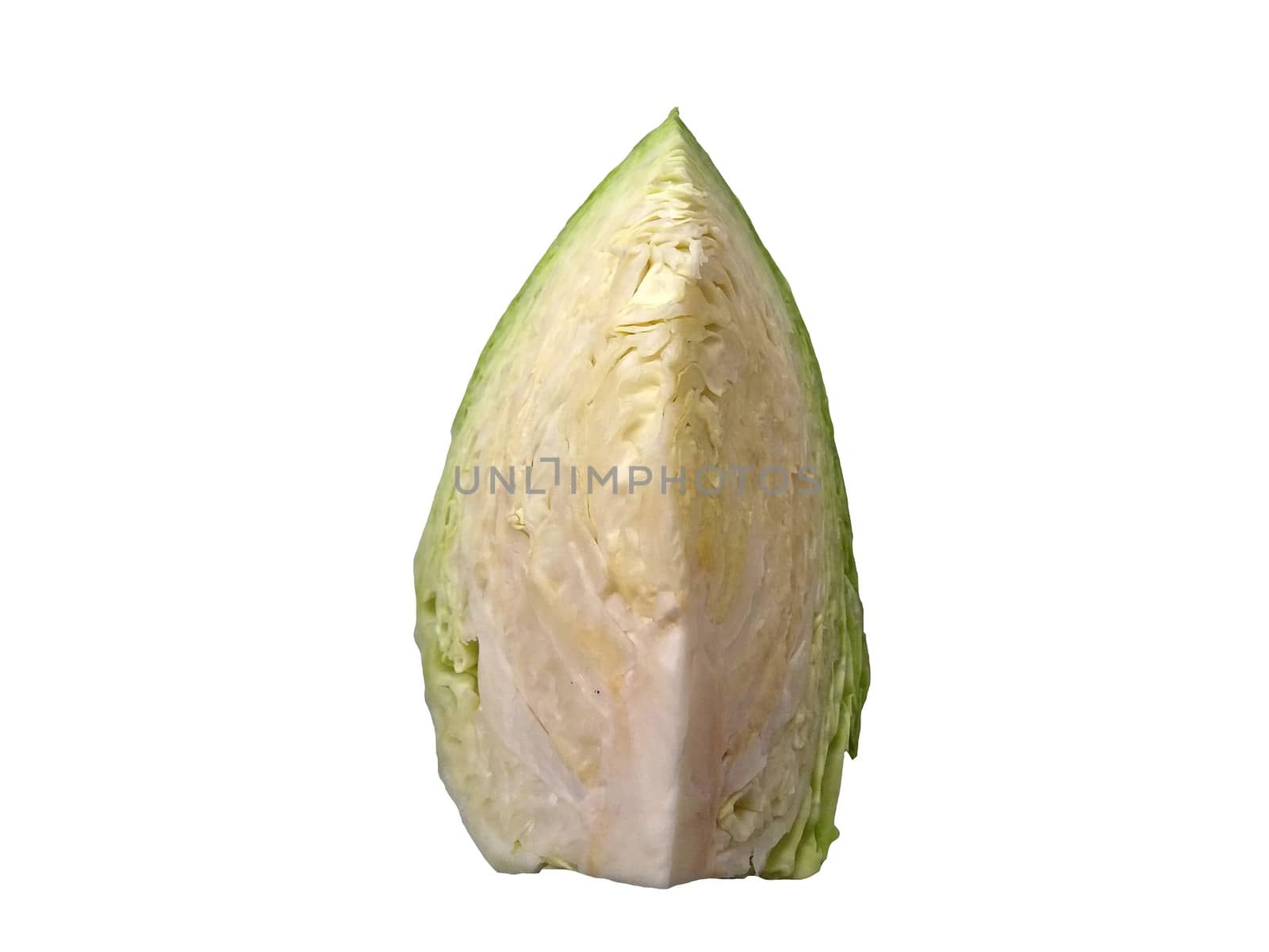 A piece of cabbage on a white background