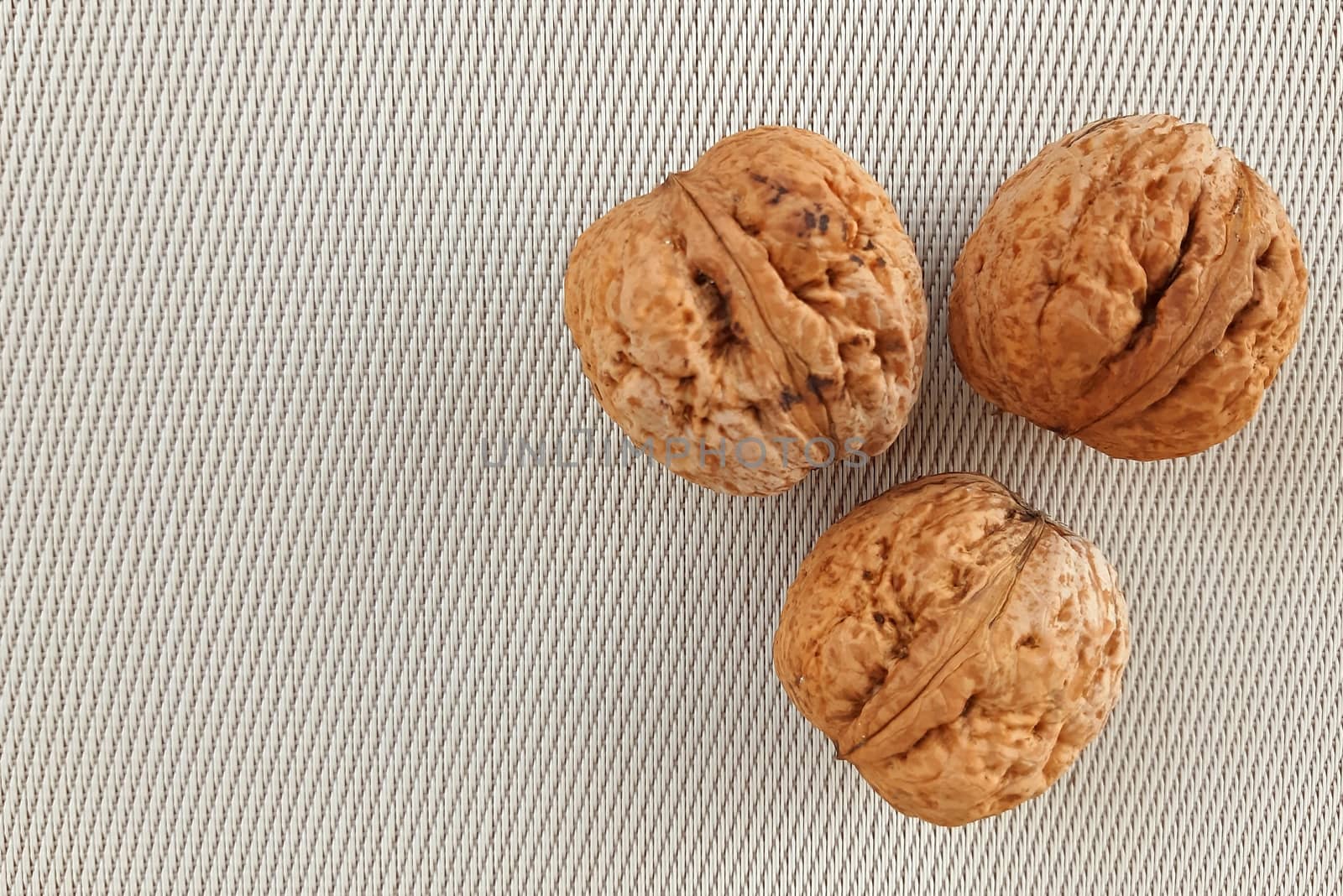 Big nuts on canvas background