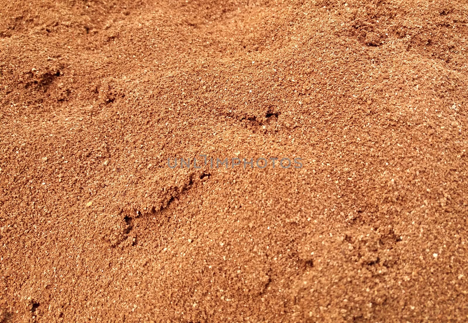 Brown ground texture close up, sandy