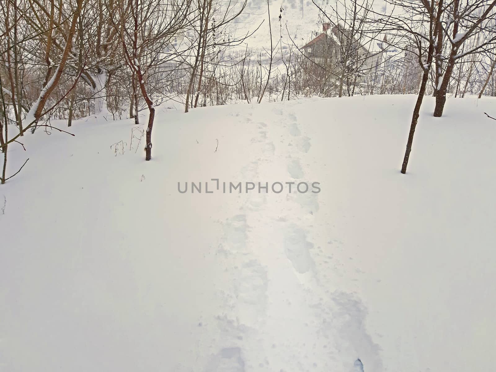 Human footprints in the deep snow. Winter snow by Mindru