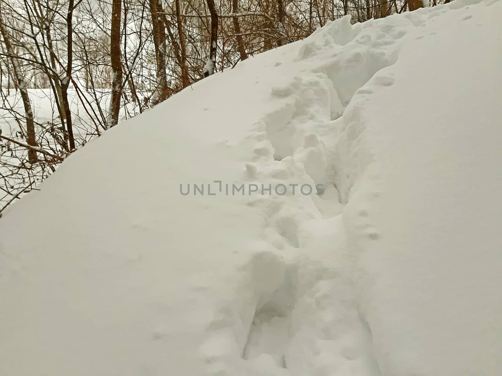 Deep Human footprints in the snow winter.