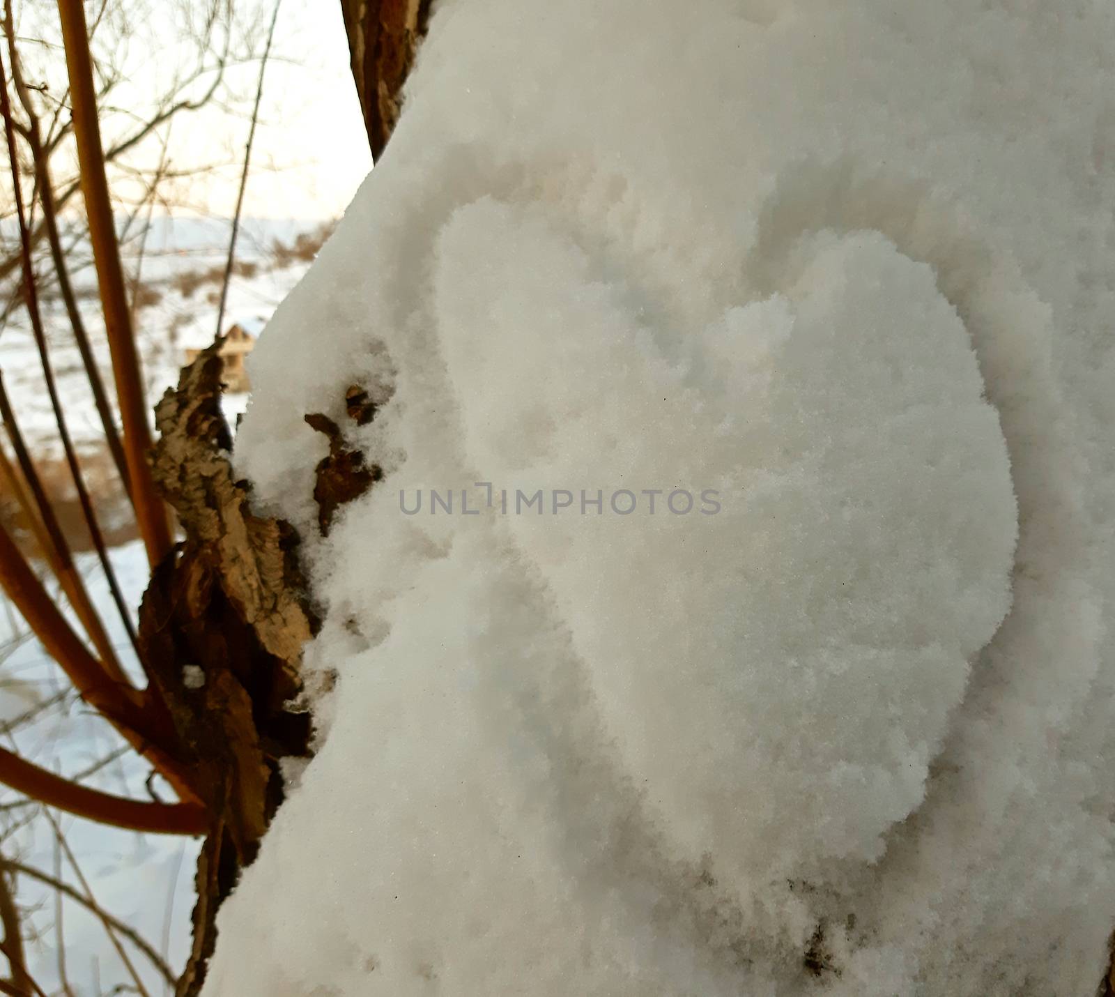 The shape of heart in nature on the snow. Valentine's day by Mindru