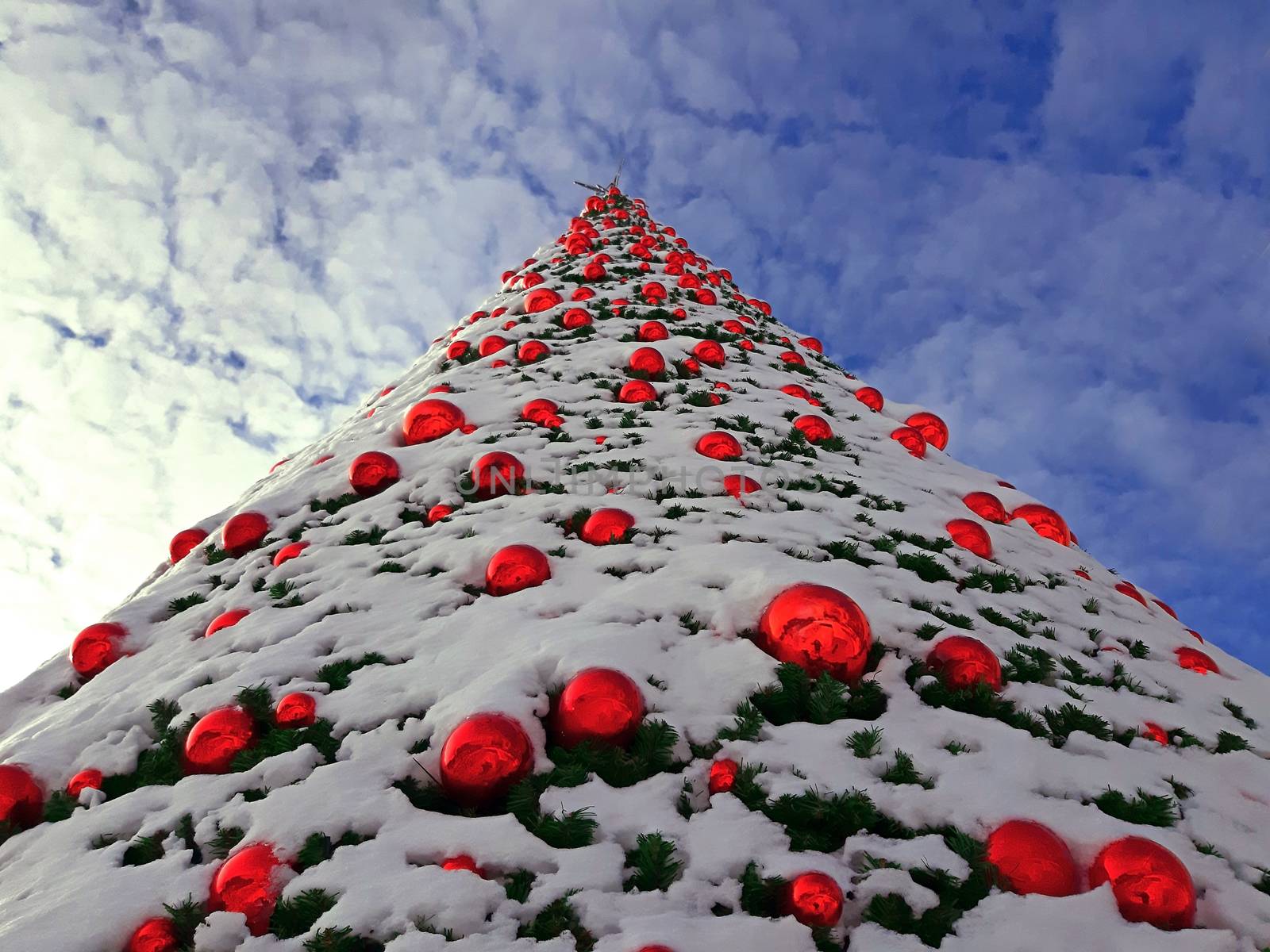 Christmas tree covered with snow on cloudy sky by Mindru