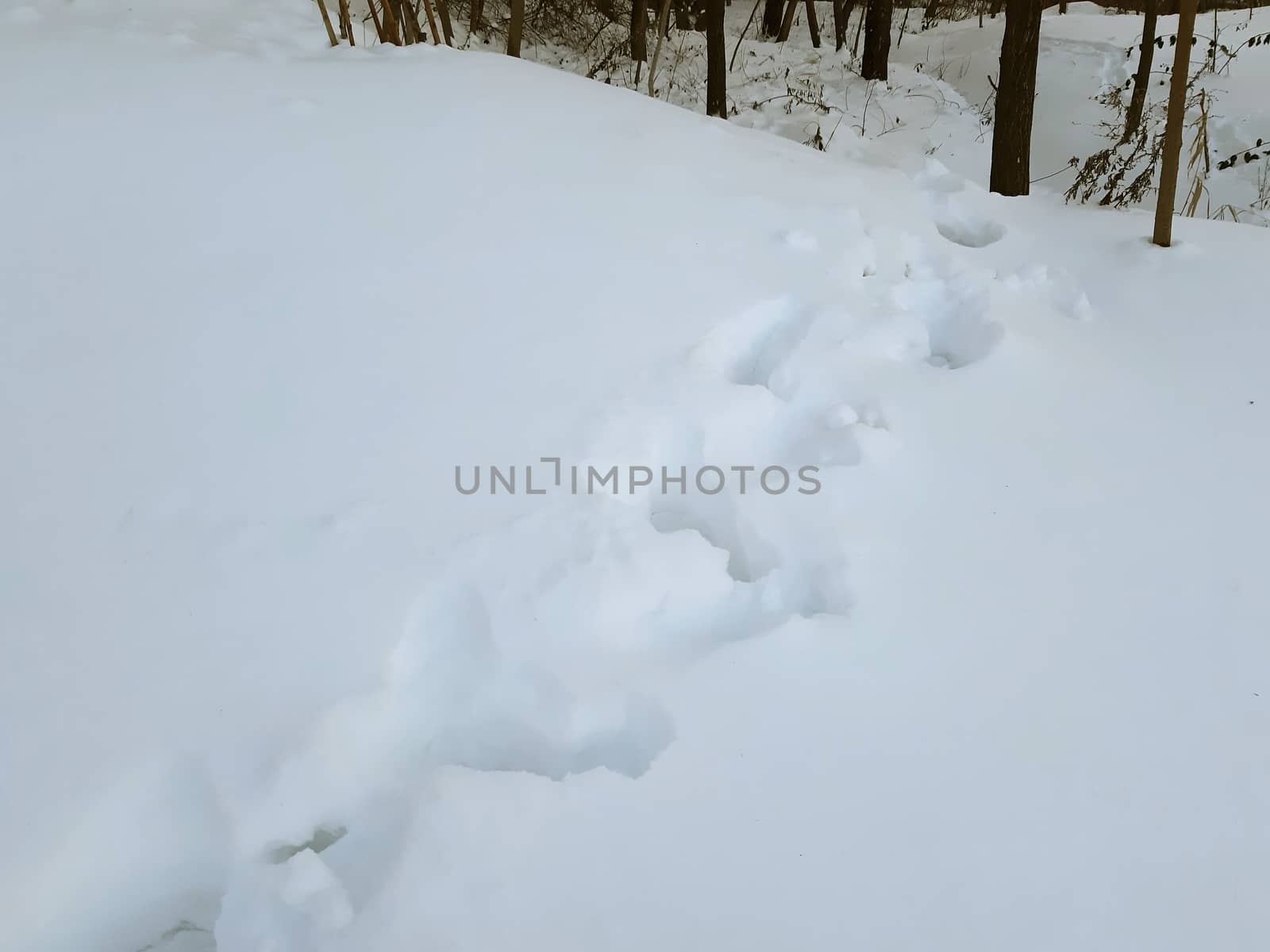 Human footprints in the snow close up by Mindru