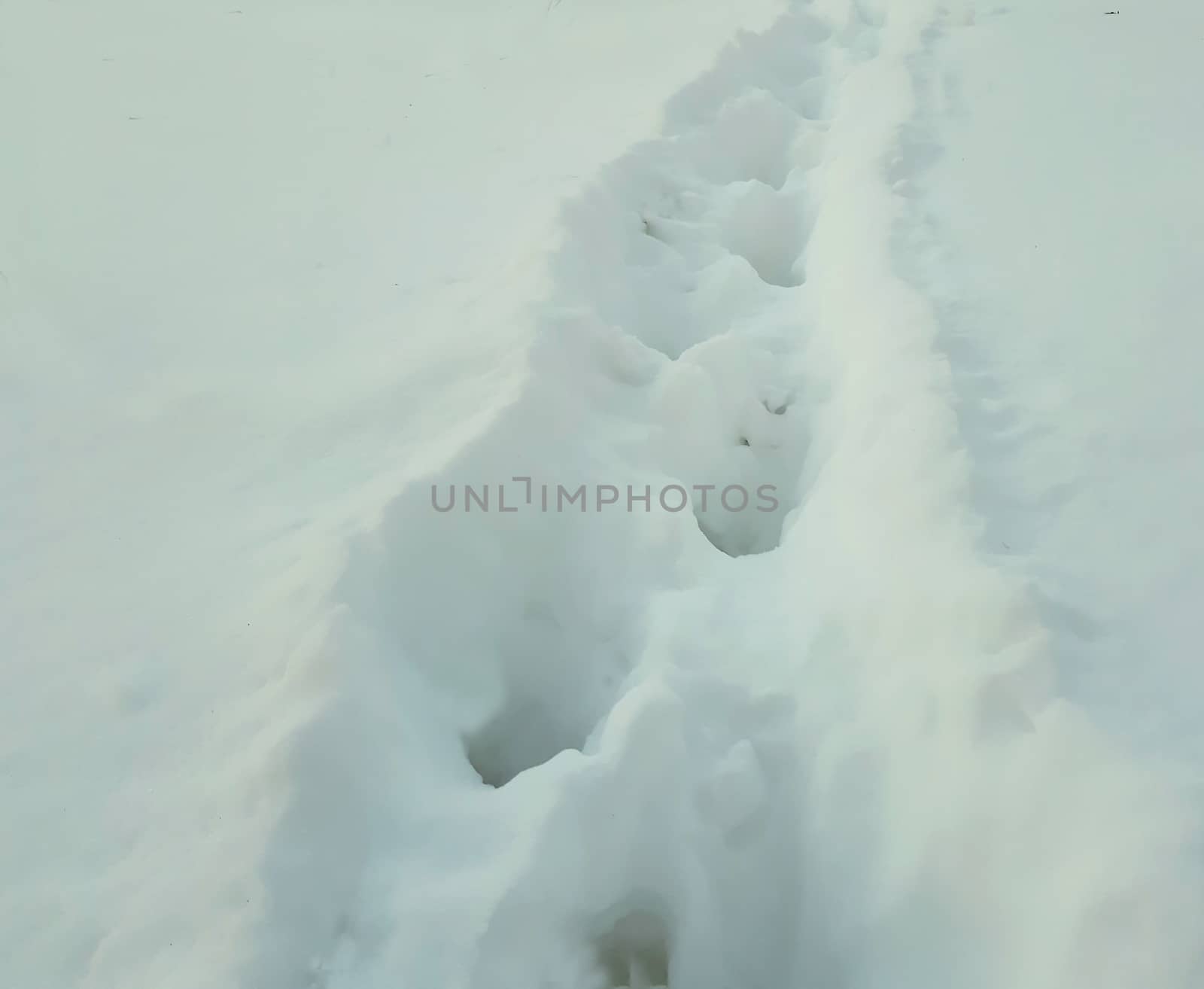 Deep Human footprints in the snow close up.