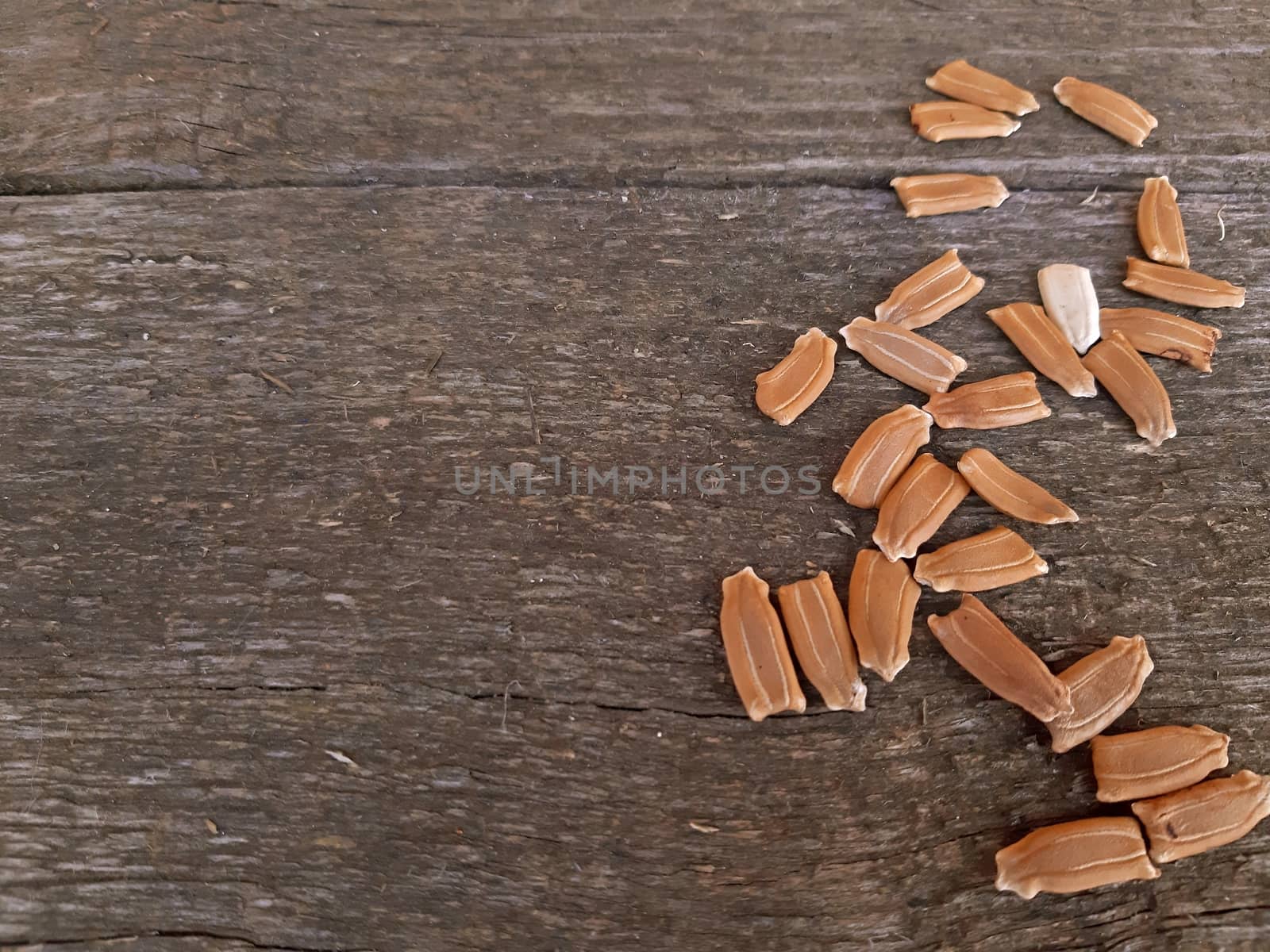 Some seeds on wooden background with Copy space.