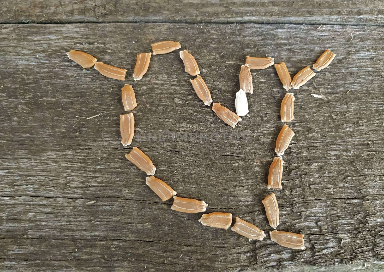 Seeds in the form of a heart close up.