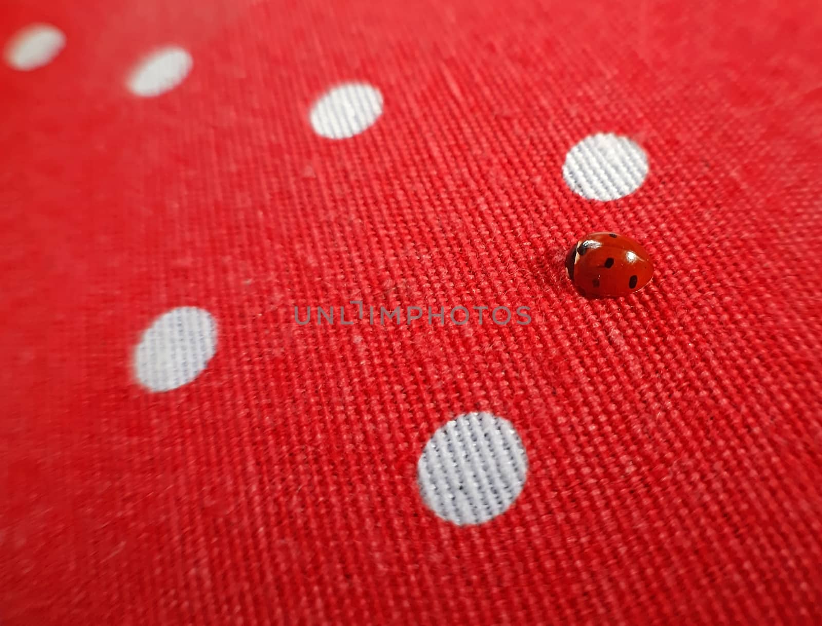 A ladybug. Macro photography red fabric background by Mindru