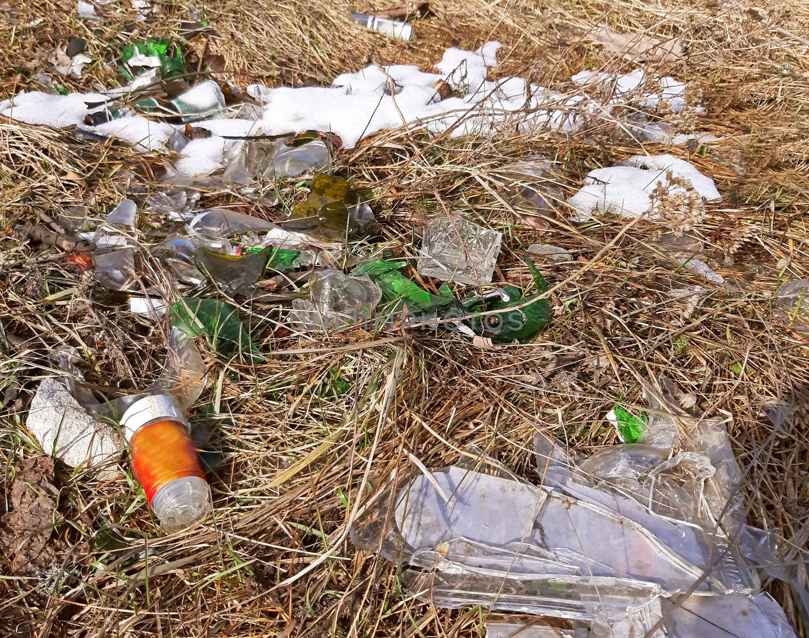 Ecological disaster concept broken glass bottles in the nature by Mindru