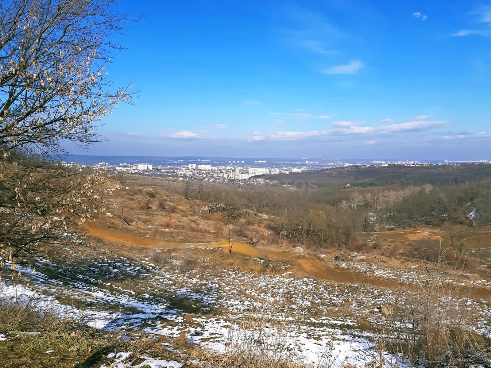 A City photographed from a distance landscape.