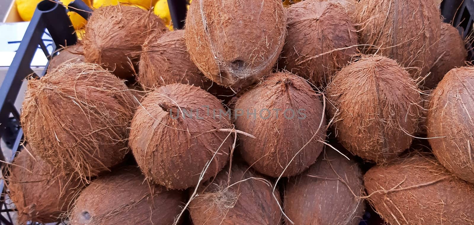 Some brown coconuts on sale textured close up. by Mindru