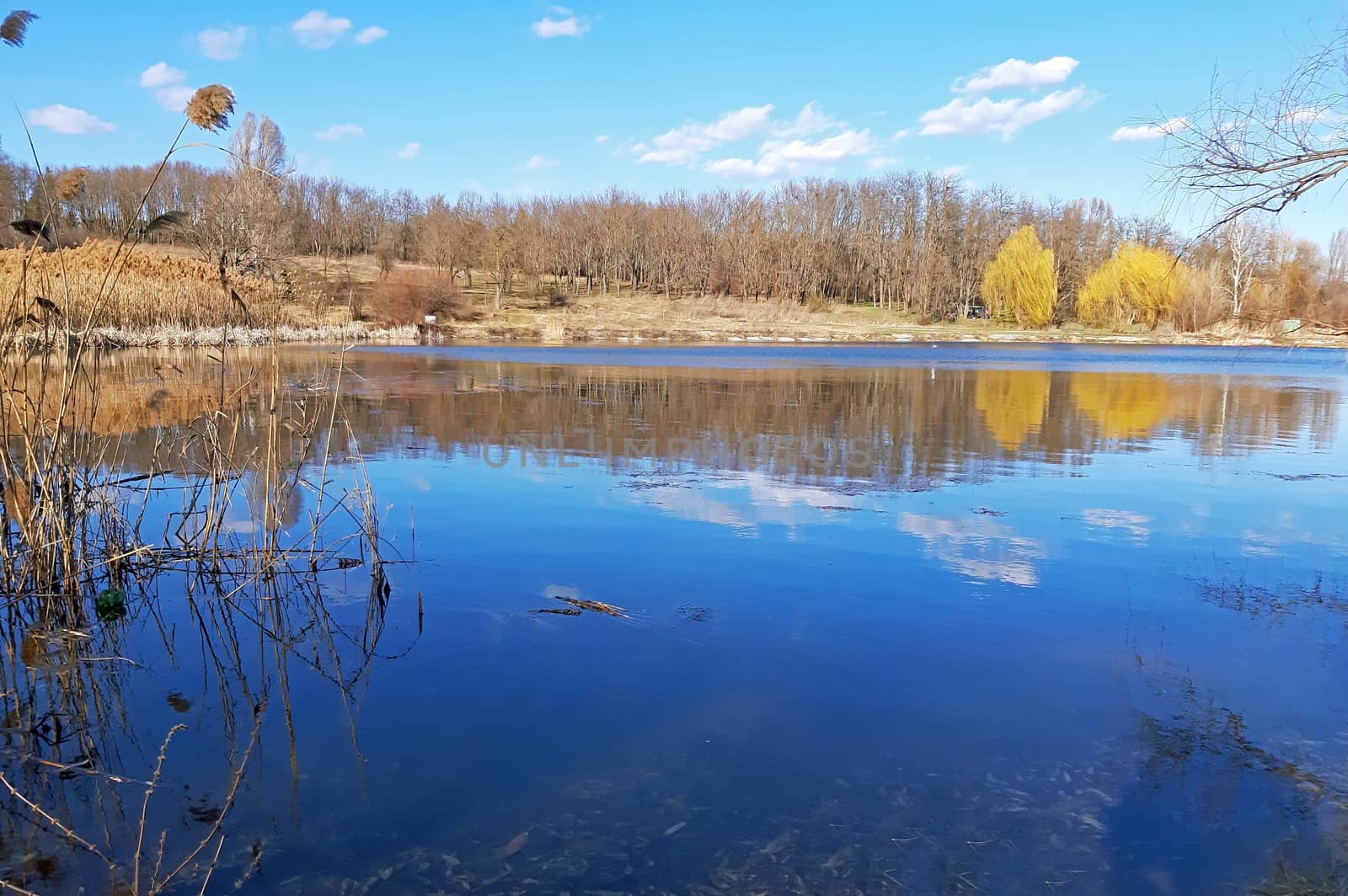 A clear lake in the early spring.