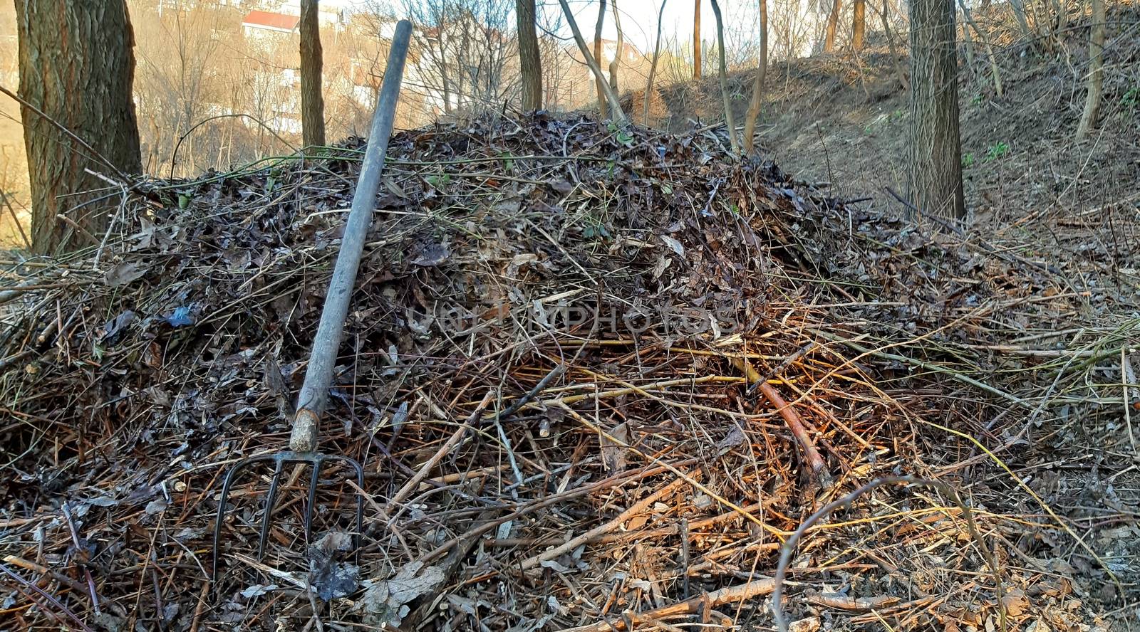 Leaves and branches for use in compost.