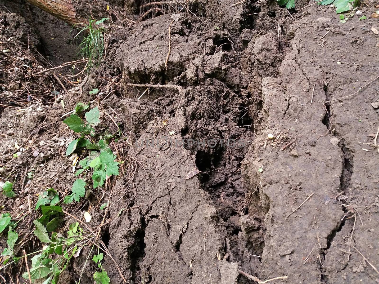 Landslides after a heavy rain in Moldova, Chisinau