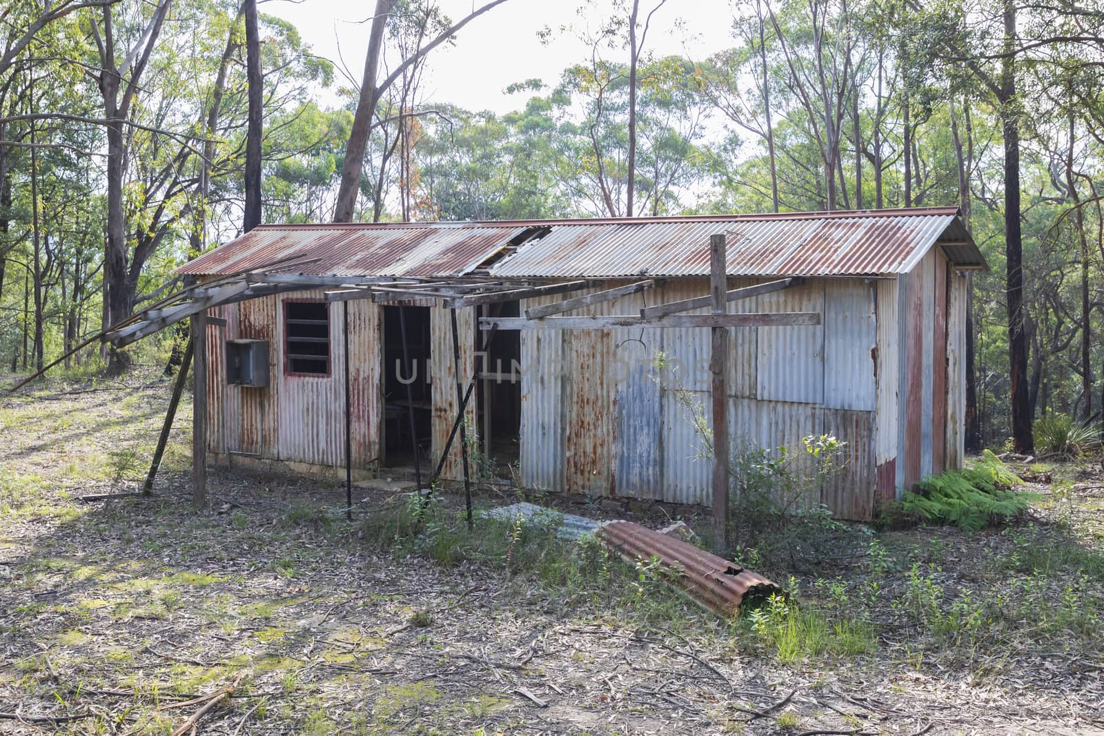 An old dilapidated building in the Wollemi National Park in Australia by WittkePhotos