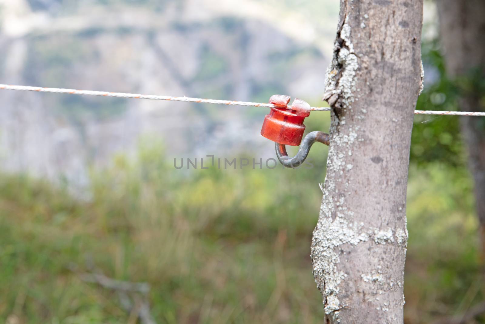 Closeup of an electric fence, used by farmers