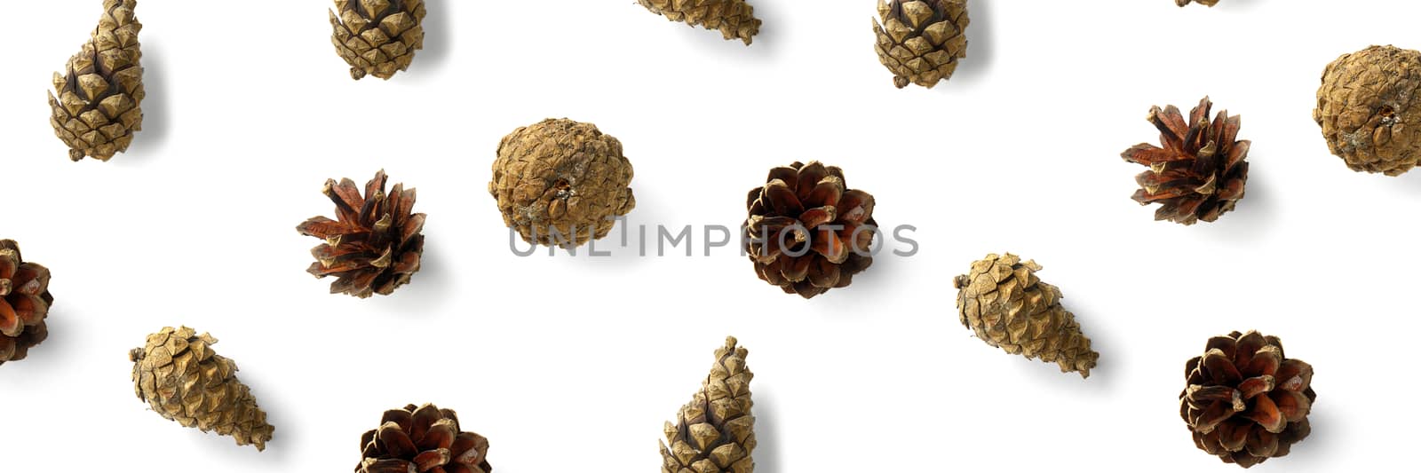 Pine cone Christmas background on white. Pine branches and cones. minimal creative cone arrangement pattern. flat lay, Modern christmas Background. by PhotoTime