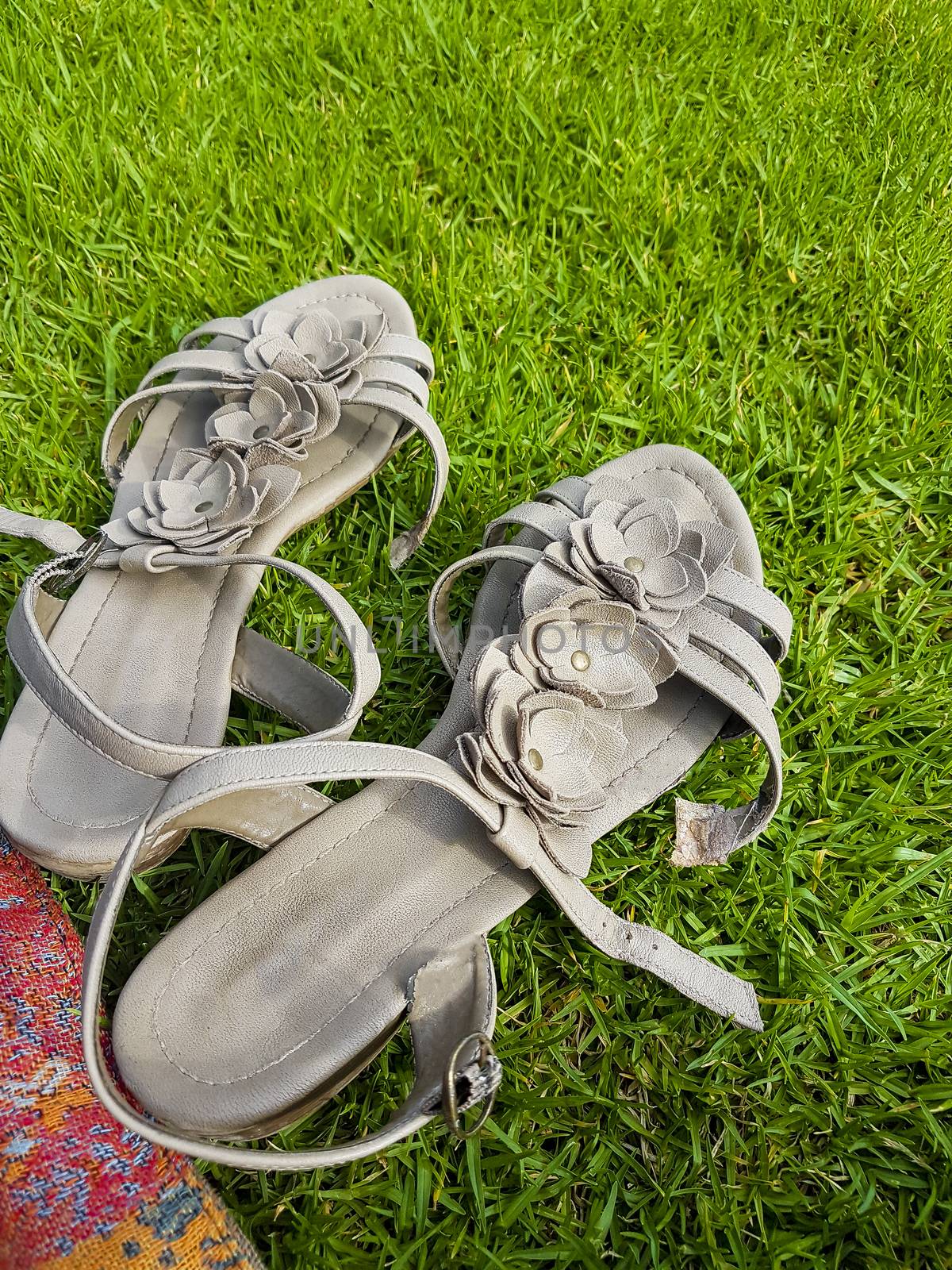 Gray cream-colored women sandals flip-flops with little flowers on grass background.