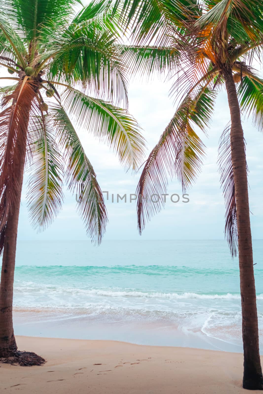 Tropical nature clean beach and white sand in summer with palm tree leaf sun light blue sky and bokeh abstract  background.