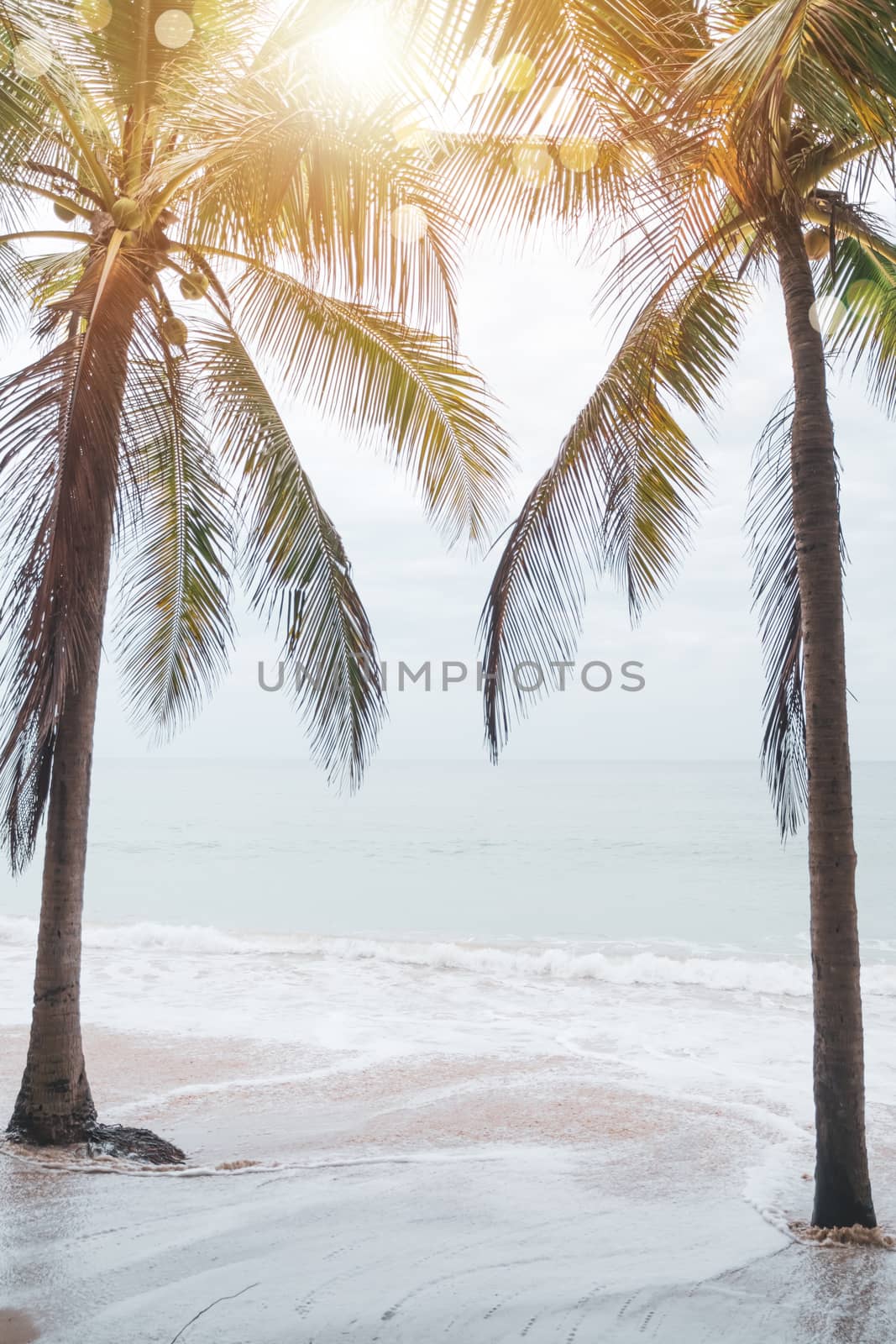 Tropical nature clean beach and white sand in summer with palm tree leaf sun light blue sky and bokeh abstract  background.