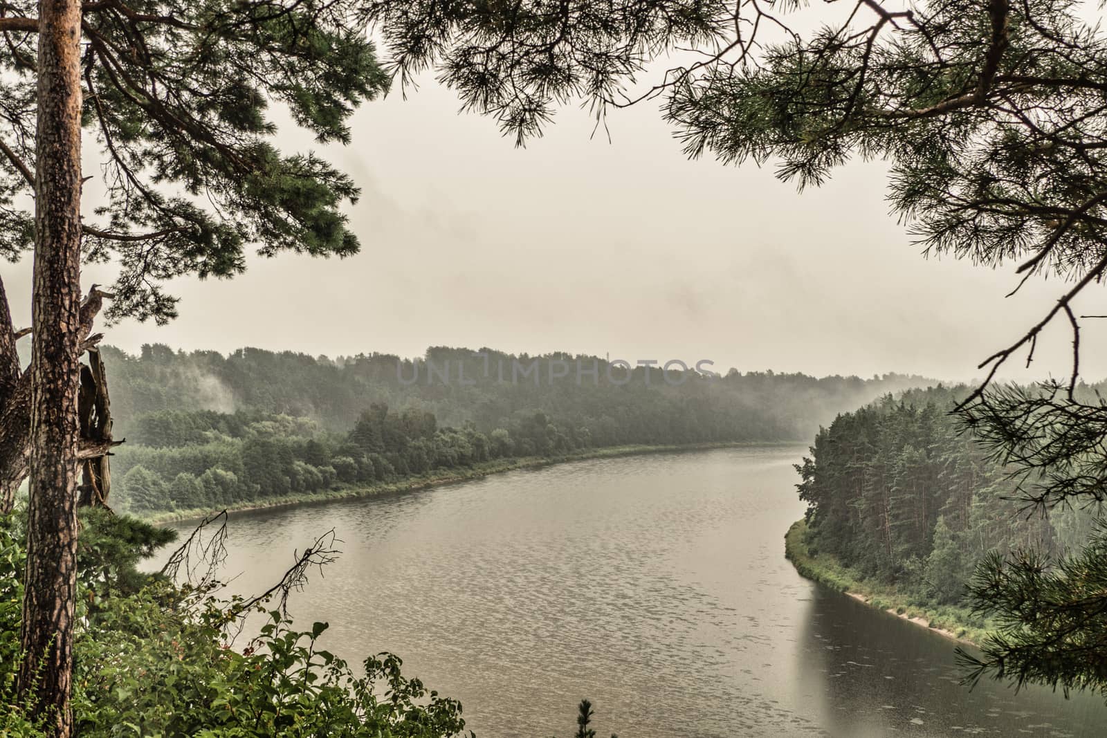 Dramatic Mystic Landscape on a Foggy River. Amazing River and Forest Landscape.
