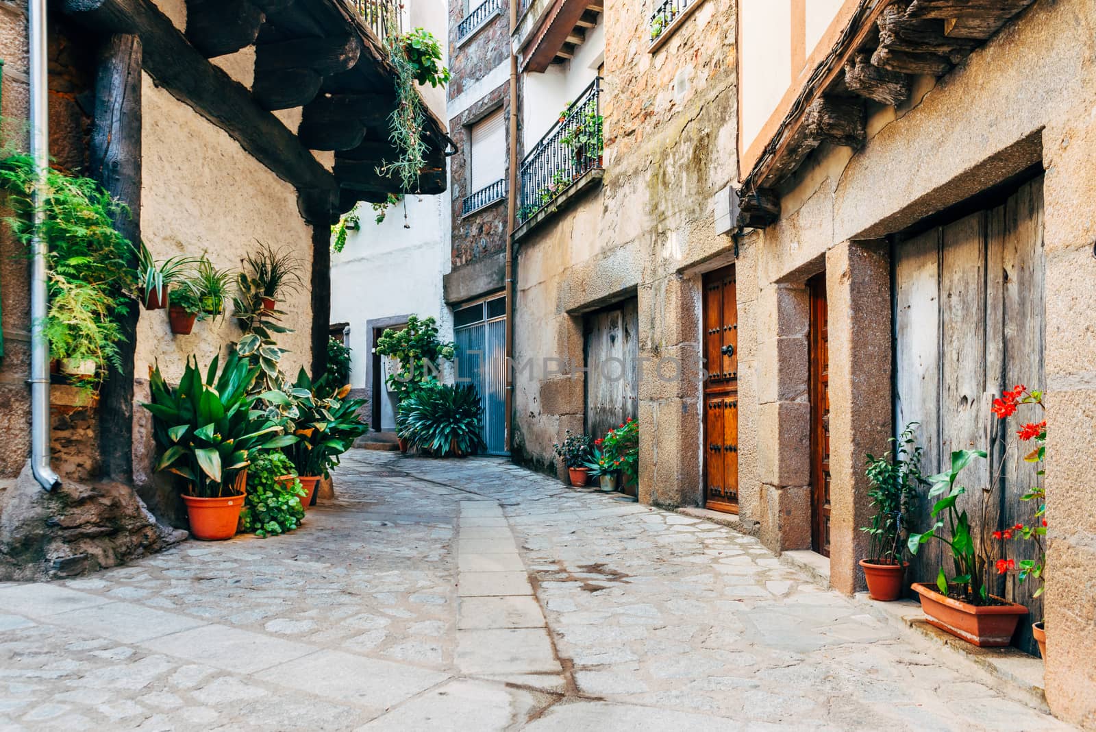 Village of Sotoserrano in province of Salamanca, Spain. by Fotoeventis