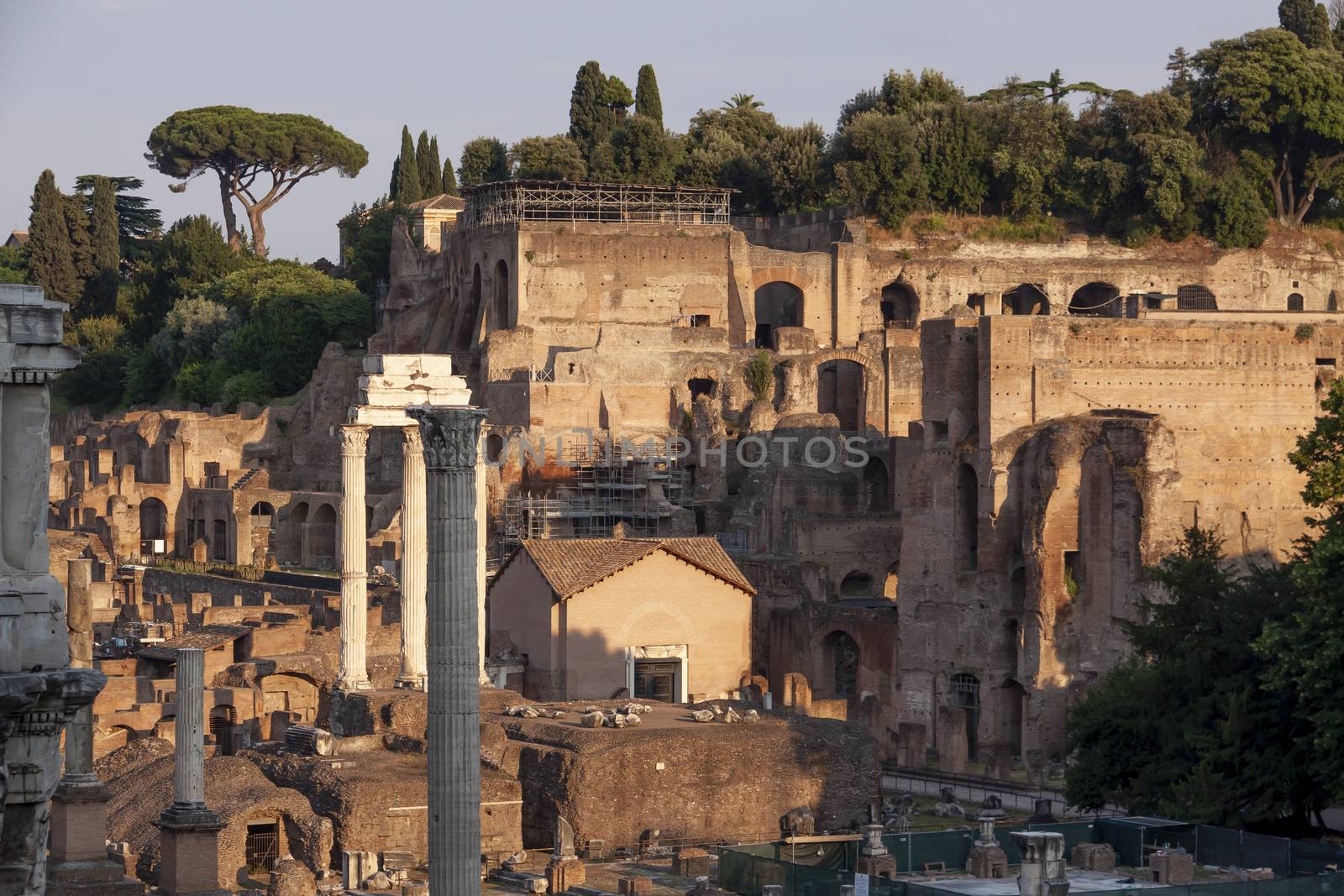 Rome, Italy - June 27, 2010: Roman Forum and Palatine Hil by alvarobueno