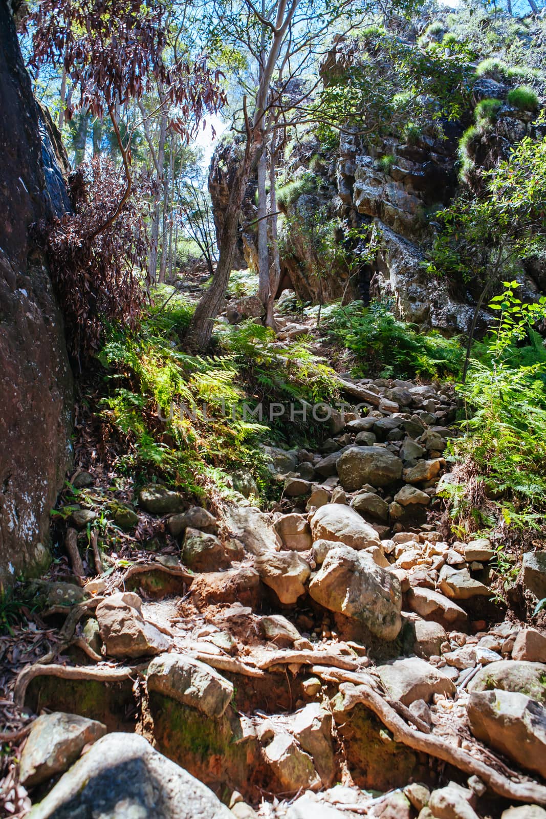 Glass House Mountains Queensland Australia by FiledIMAGE