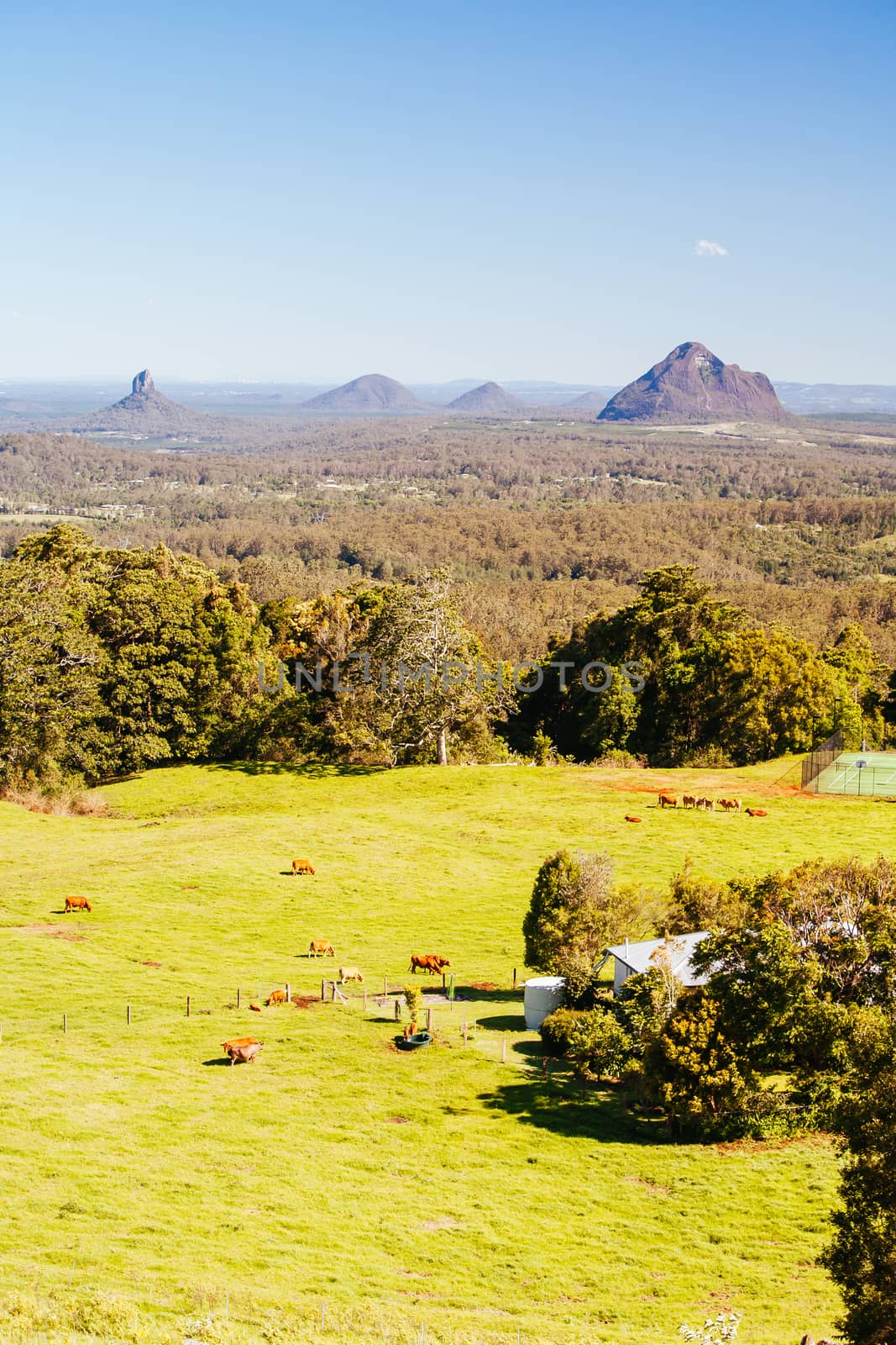 A view across the Glass House Mountains National Park on a clear sunny day near Brisbane, Queensland, Australia