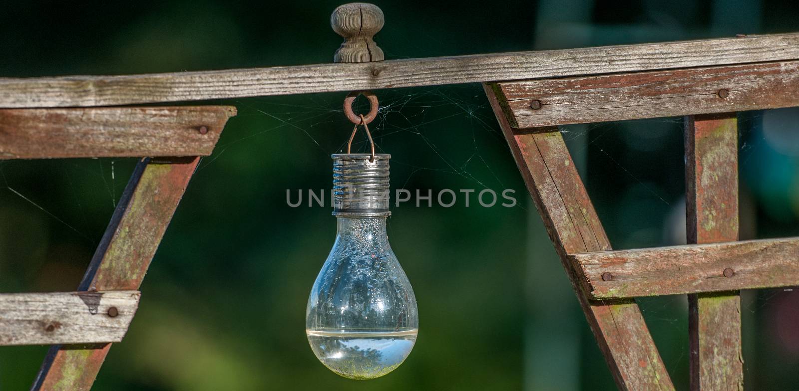 light bulb hanging from wood with water inside by sirspread
