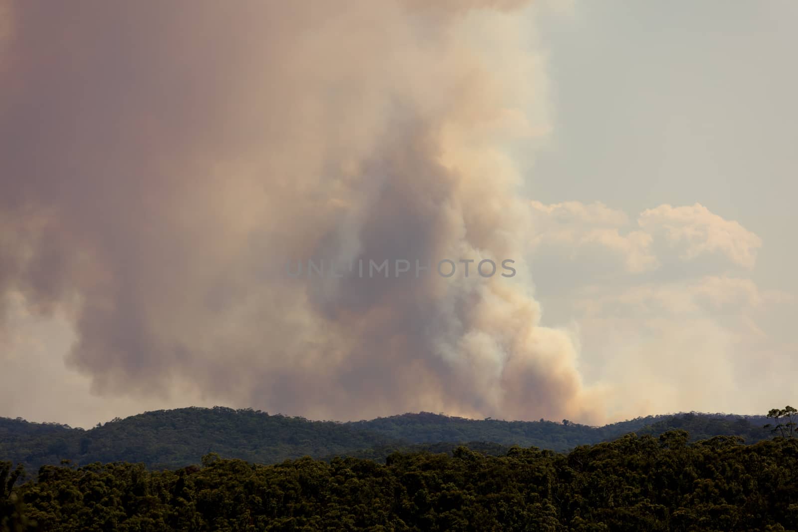 Bush fire smoke in a valley in The Blue Mountains in Australia