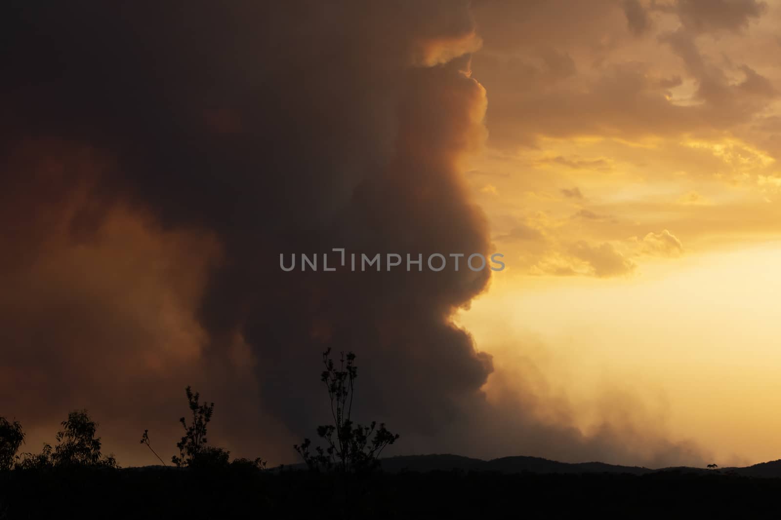 Bush fire smoke at sunset in a valley in The Blue Mountains in Australia