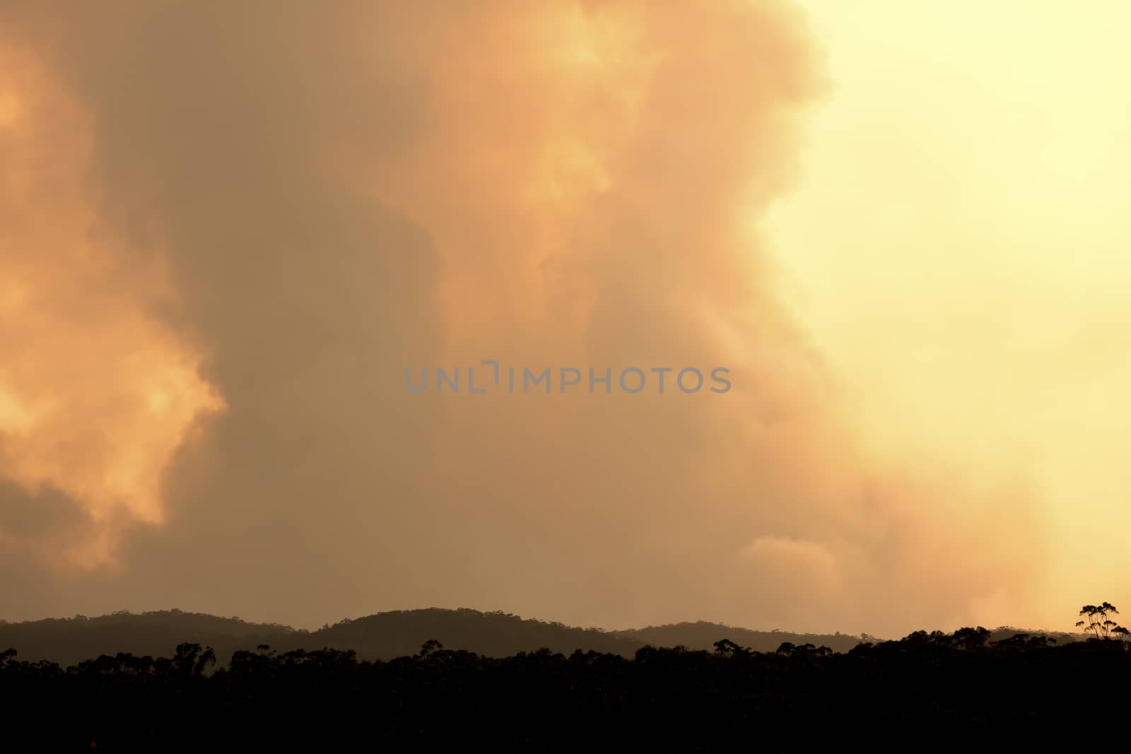 Bush fire smoke in a valley in The Blue Mountains in Australia