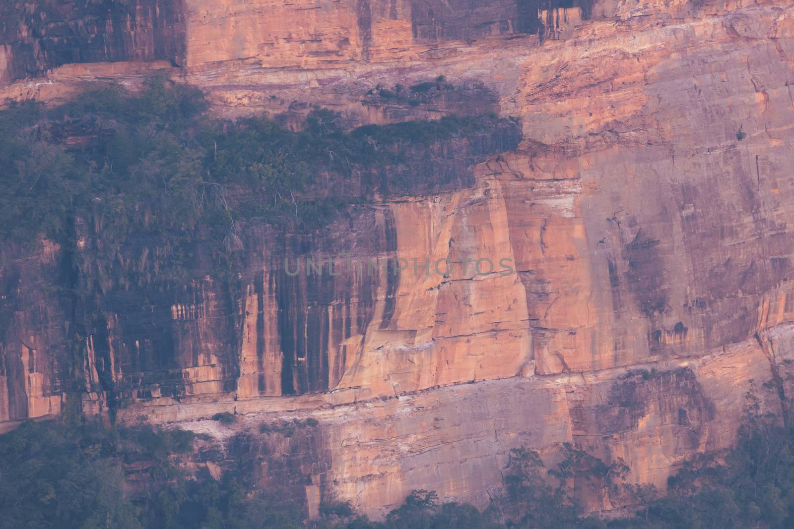 A cliff face in Jamison Valley in The Blue Mountains in New South Wales in Australia