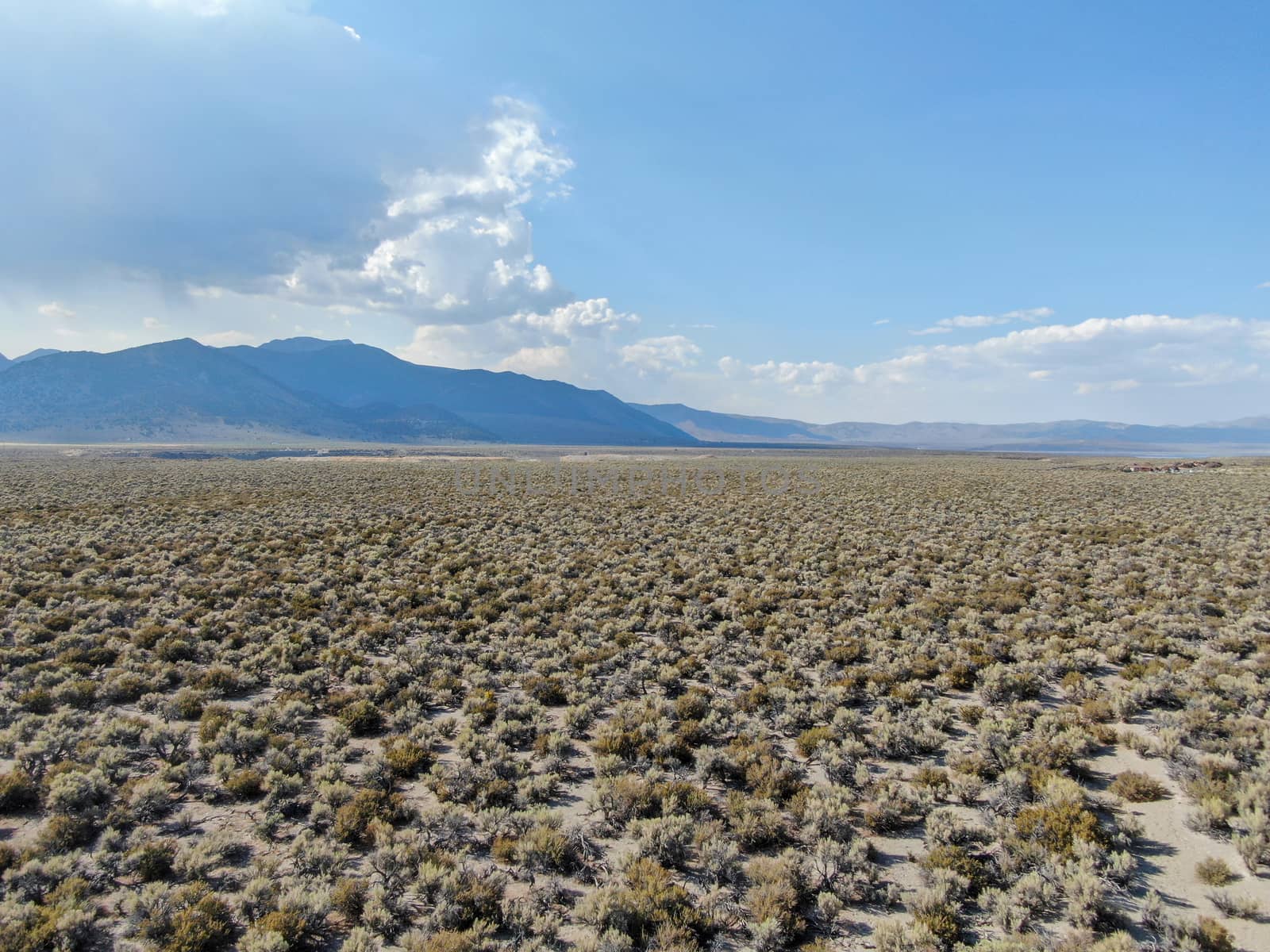 Aerial view of dusty dry desert land and mountain on the background Lee Vining Mono County, California, USA