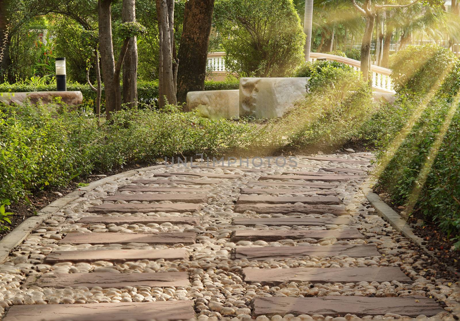 The walking path paved with cobbles and wood floors, the morning sun shines.