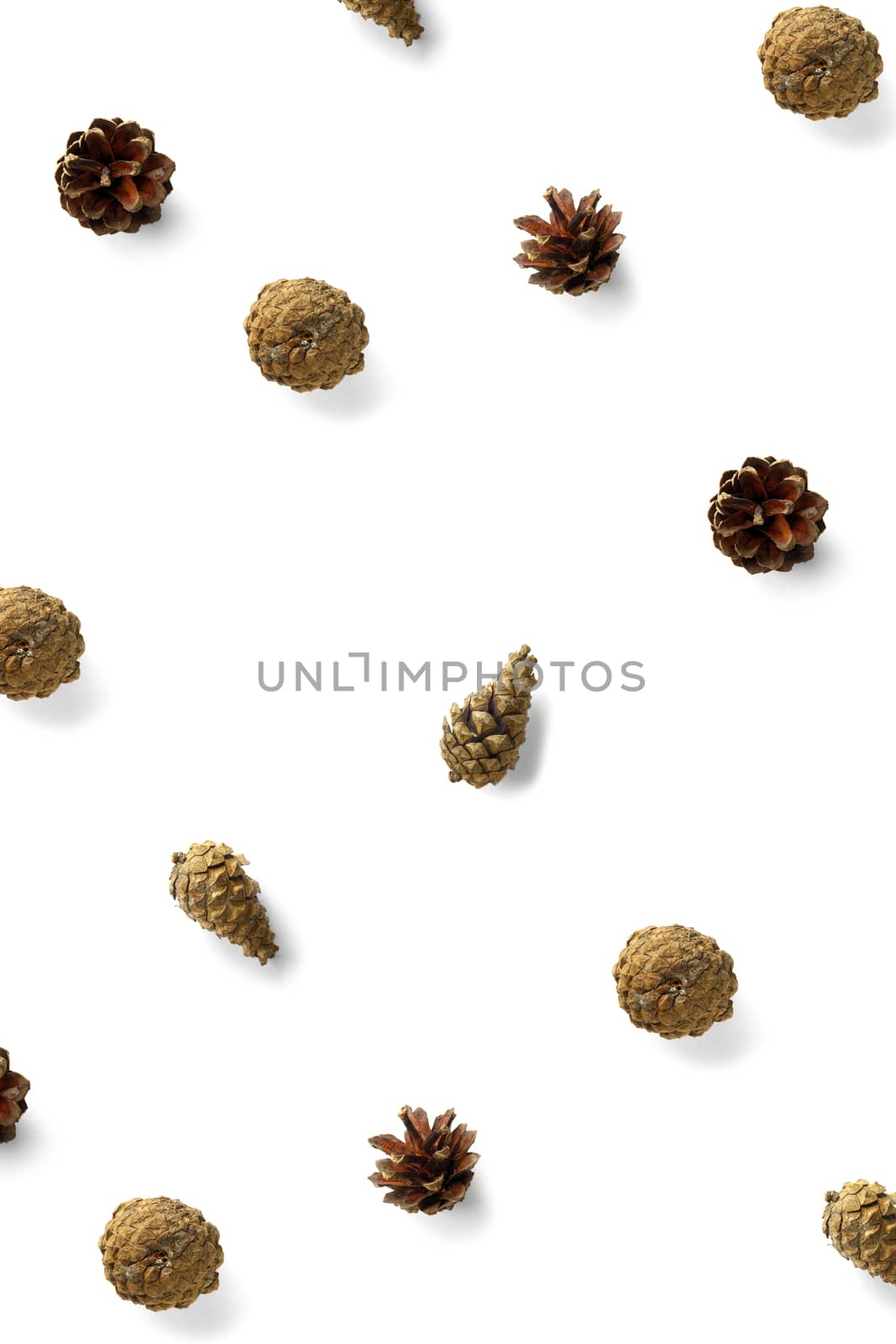 Creative Pine cone Christmas background on white. Pine branches and cones. minimal creative cone arrangement pattern. flat lay, top view. new year background wallpaper. Nature pinecone modern christmas Background