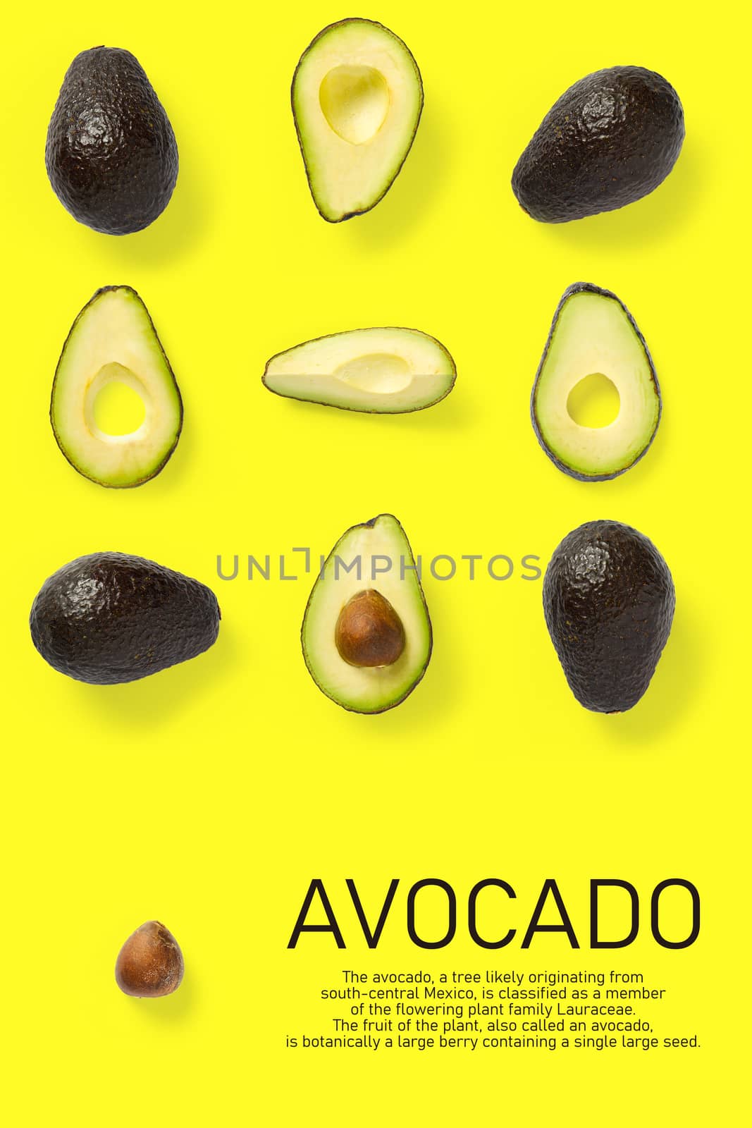 Seamless pattern with avocado slices. Tropical fruit abstract background. Avocado pattern the yellow background