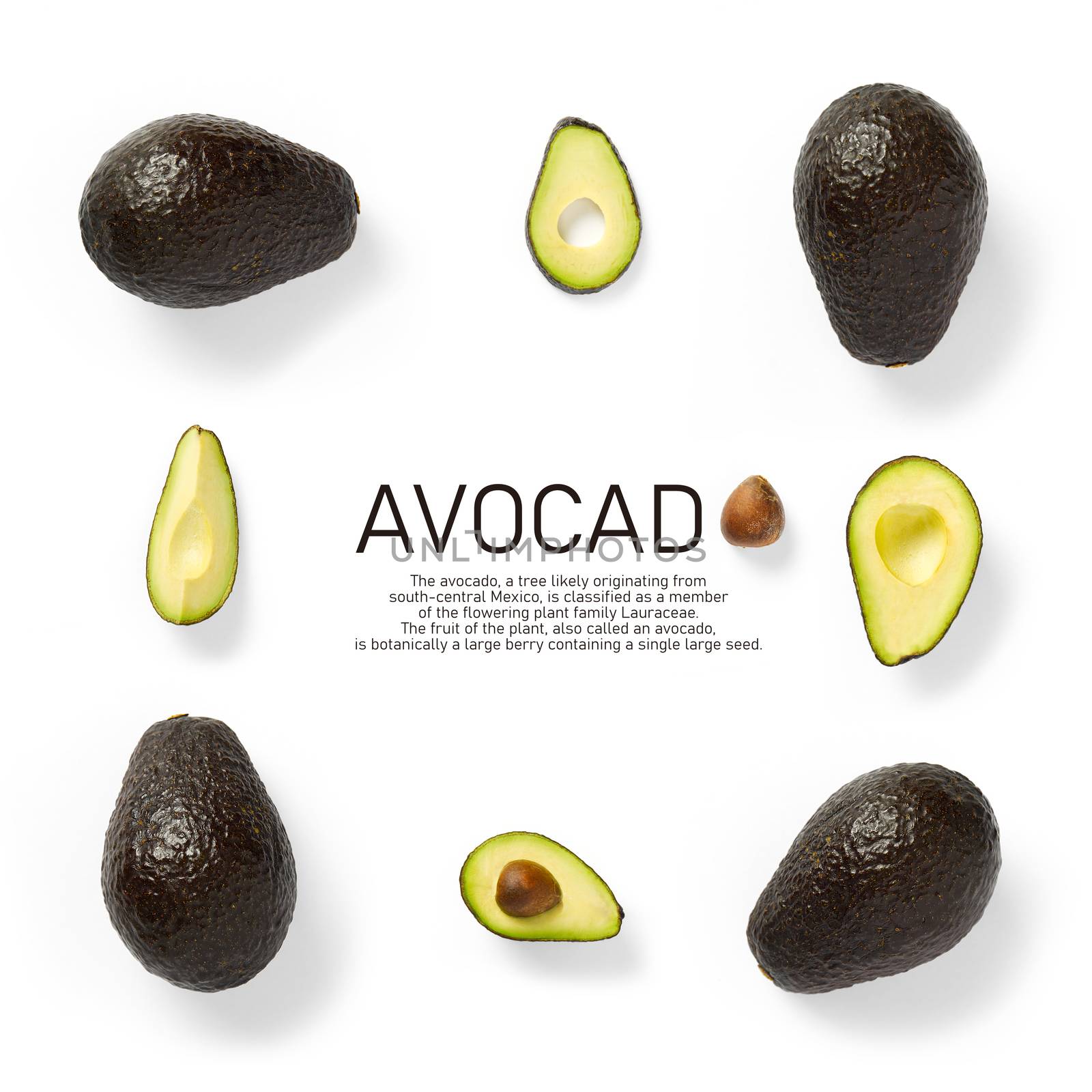Modern creative avocado collage with simple text on solid color background. Avocado slices creative layout on White background. Flat lay, Design elements, Food concept
