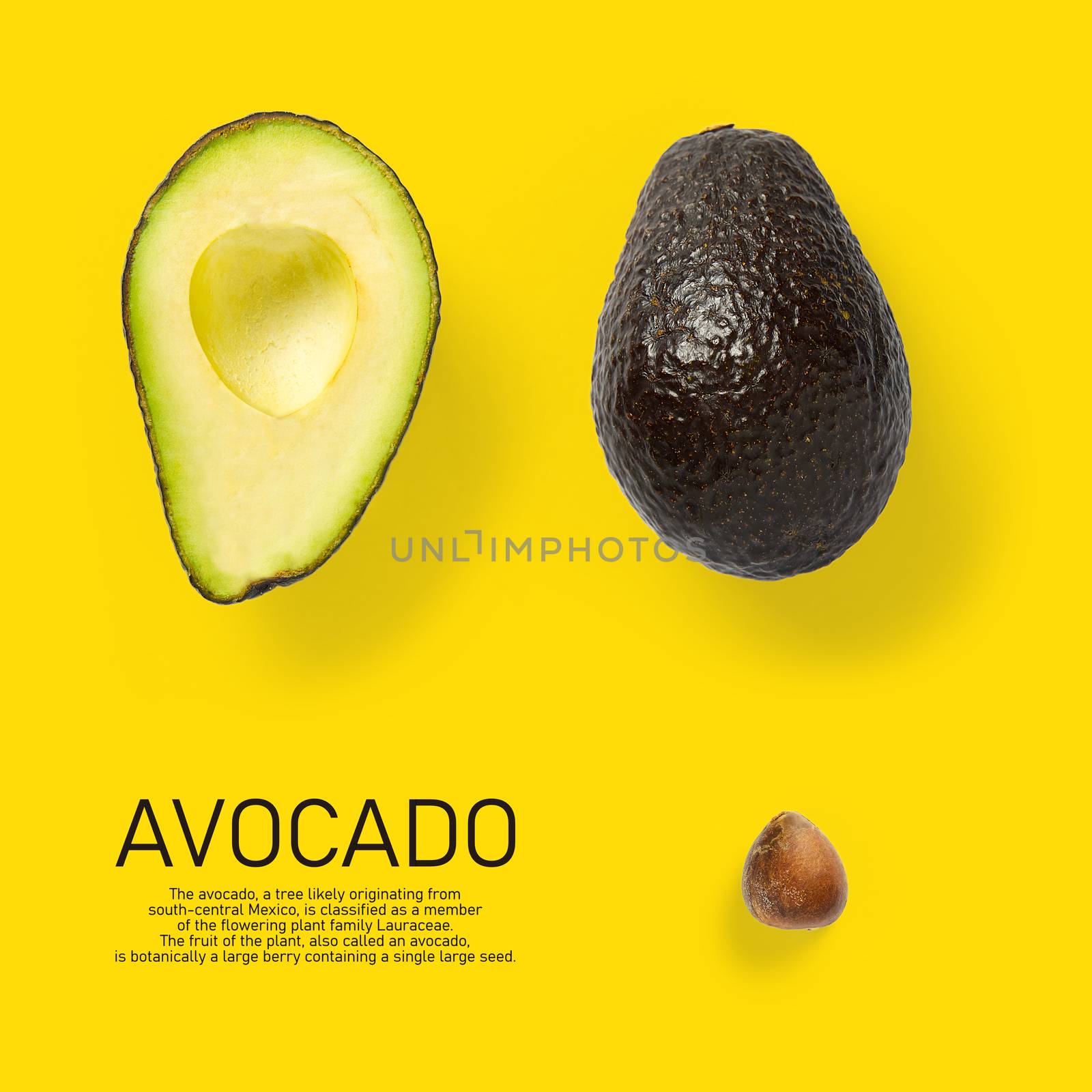 Modern creative avocado collage with simple text on solid color background. Avocado slices creative layout on orange background. Flat lay, Food concept by PhotoTime