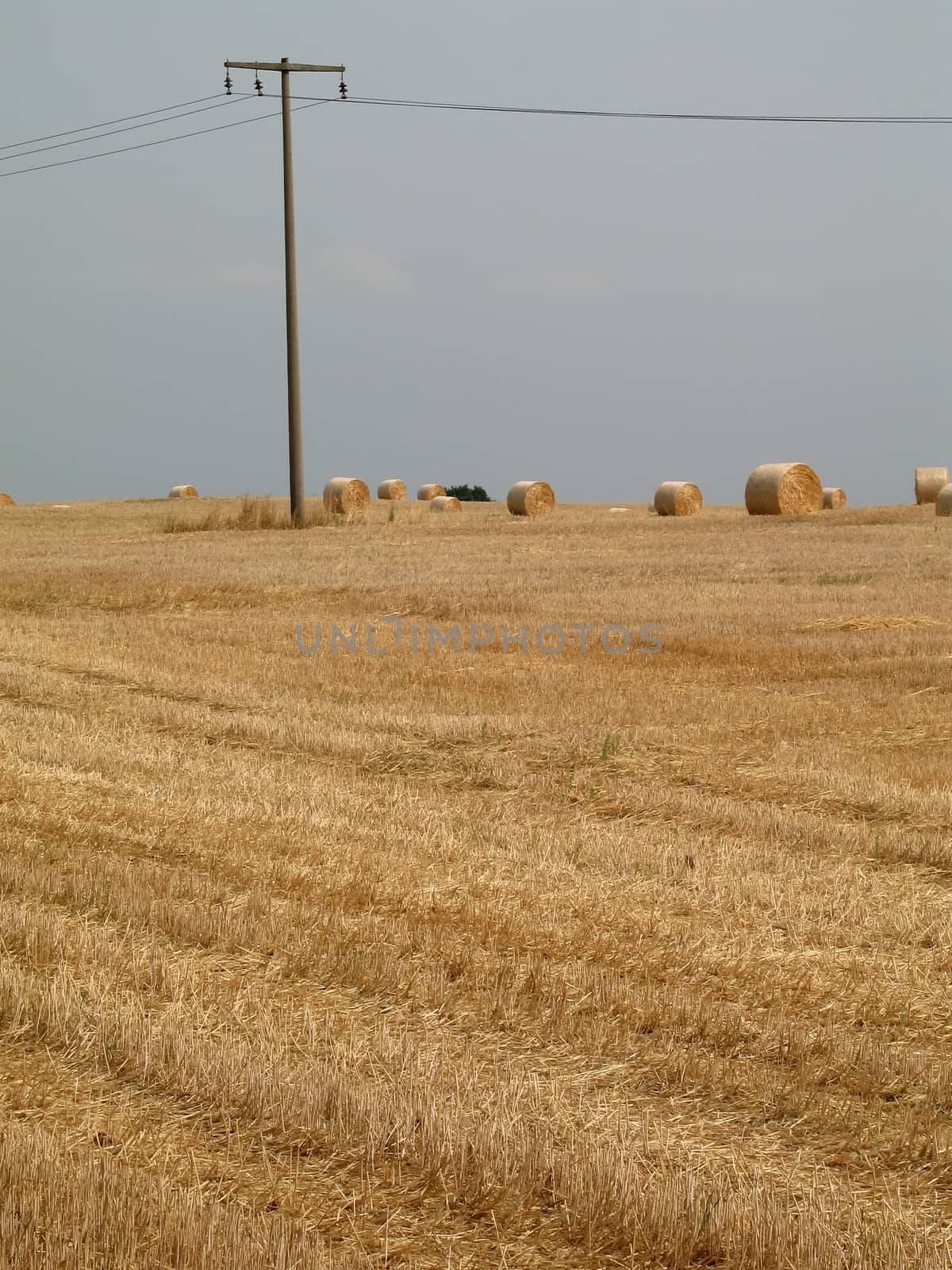 Round bales of straw on a field in Brandenburg, Germany.