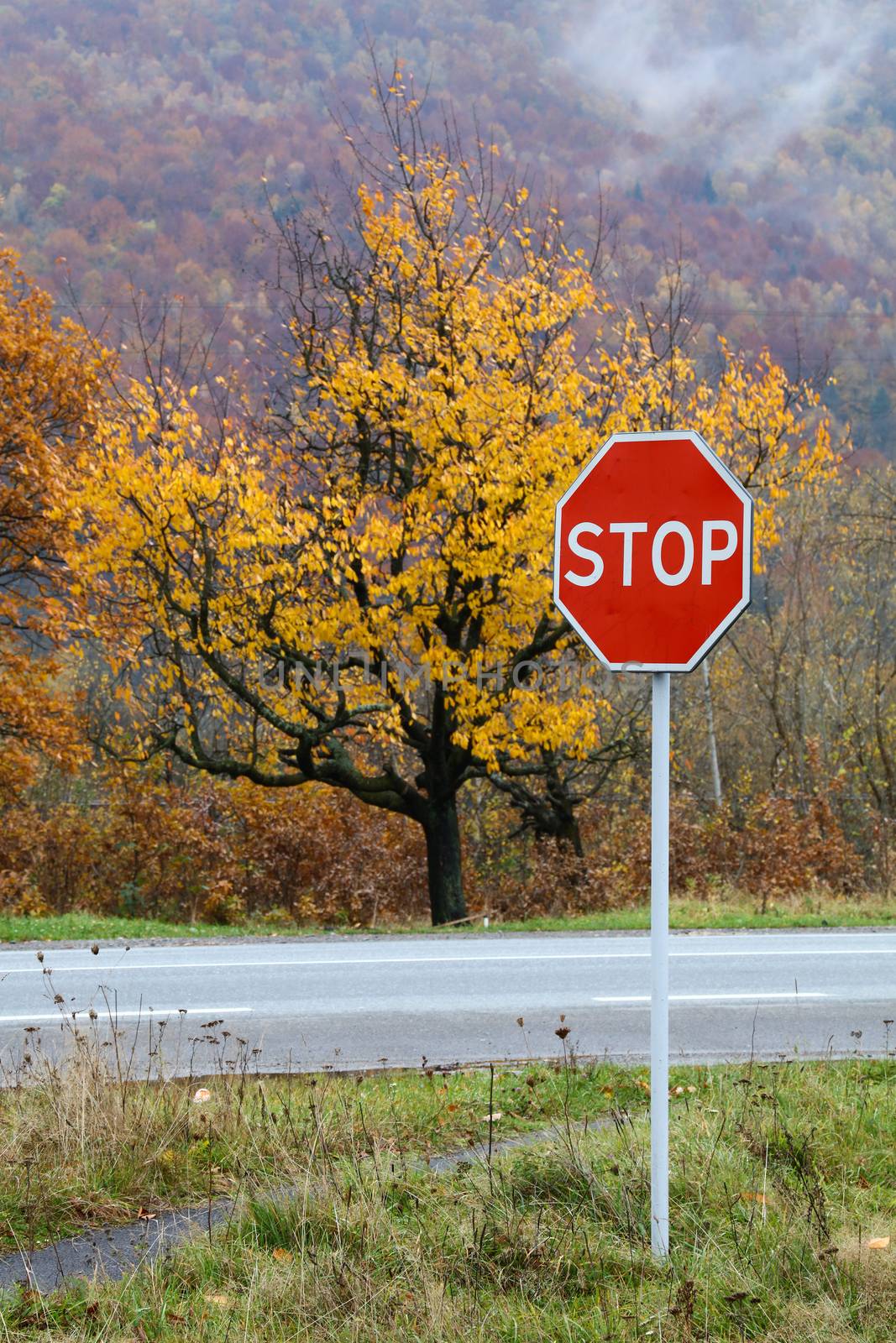 Road STOP sign over autumn forest landscape by BreakingTheWalls