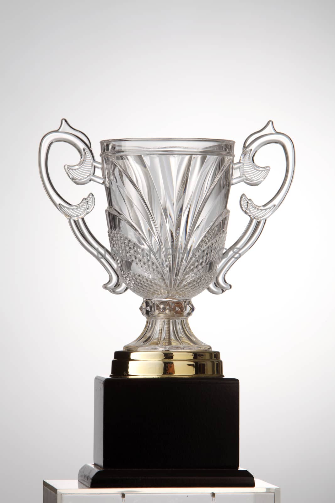 transperant trophy on the white background