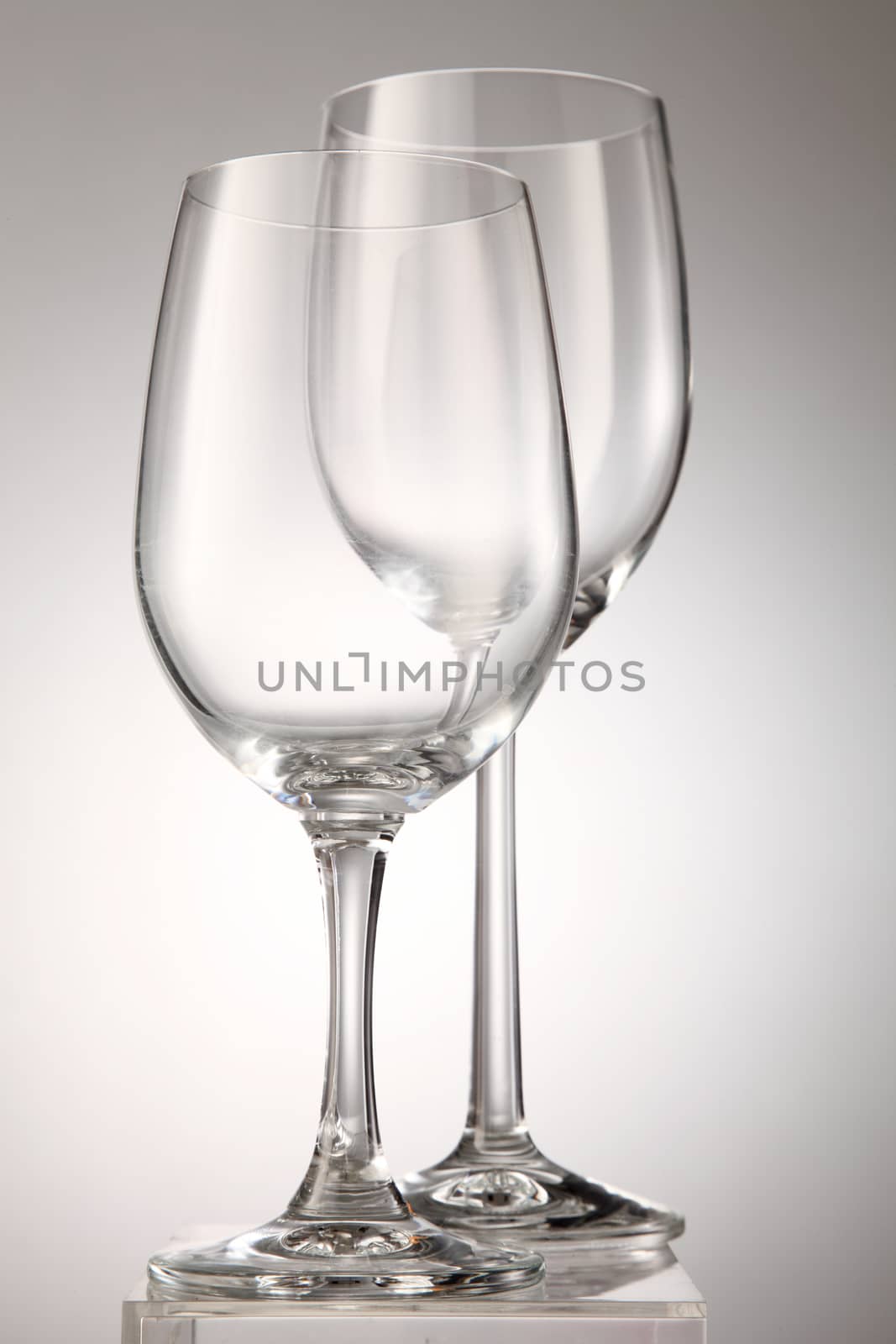 wine glass by eskaylim