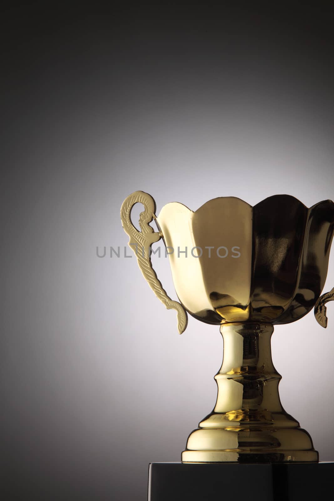 close up of metal trophy with light spotted at back