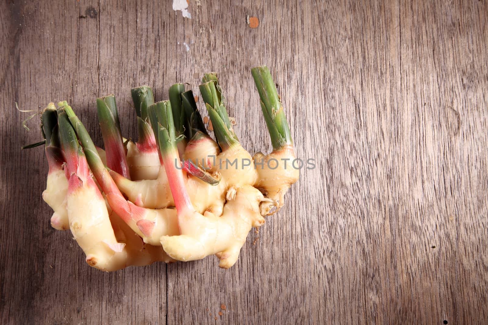 ginger root with the greens still attached.