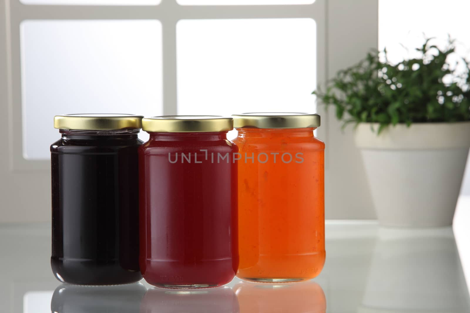 group shot of the fruit jam canned