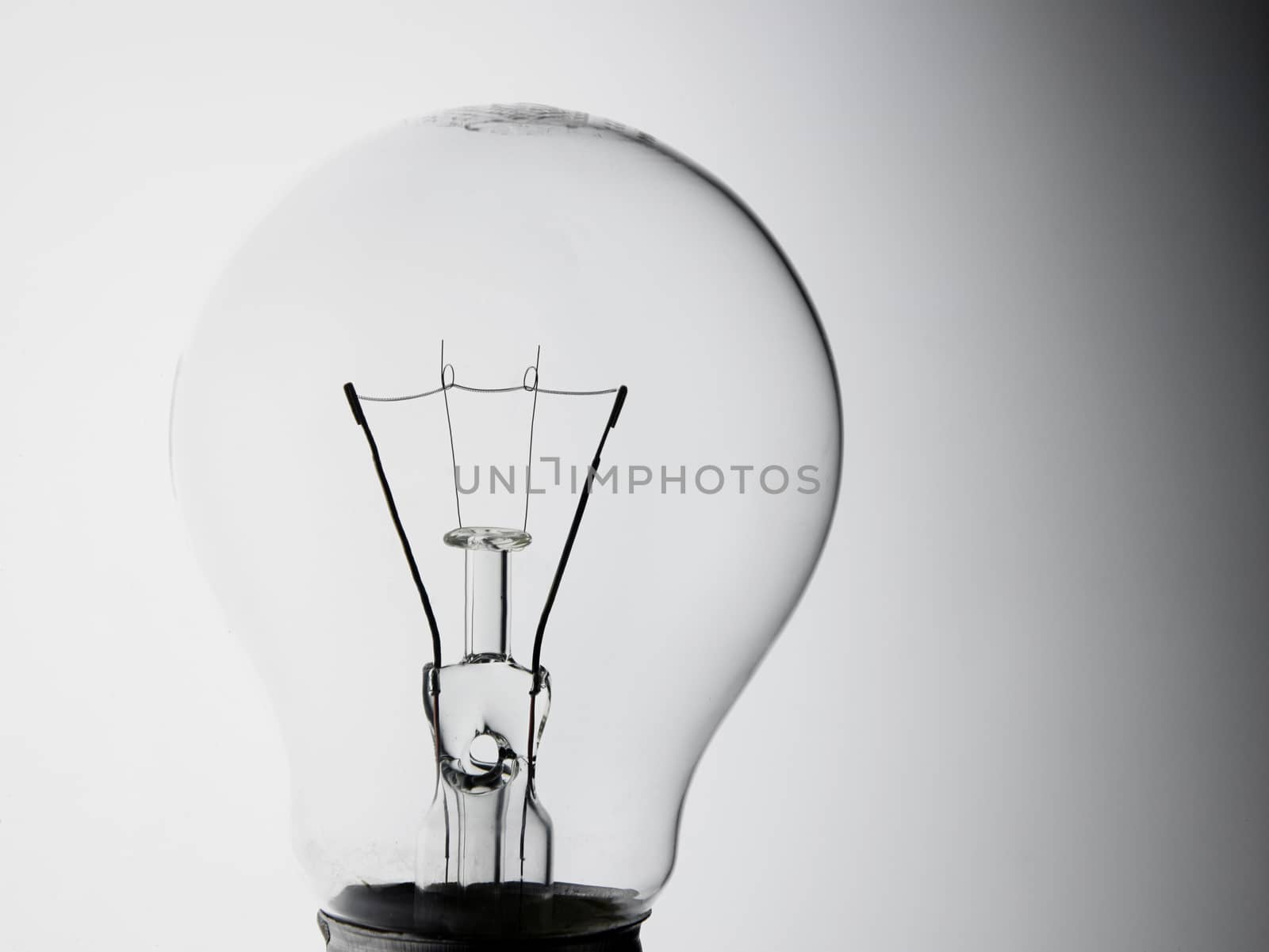 light bulb on the white background
