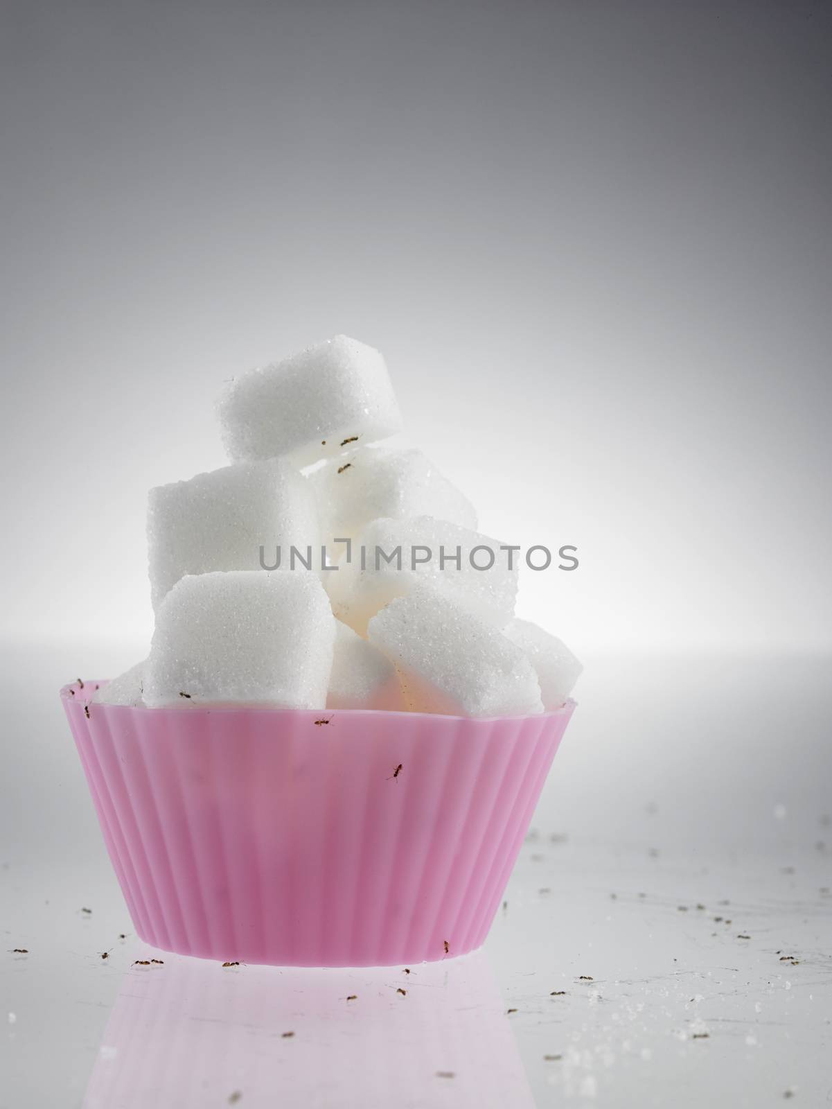 cube sugar in cup cake mold surrounded with ants