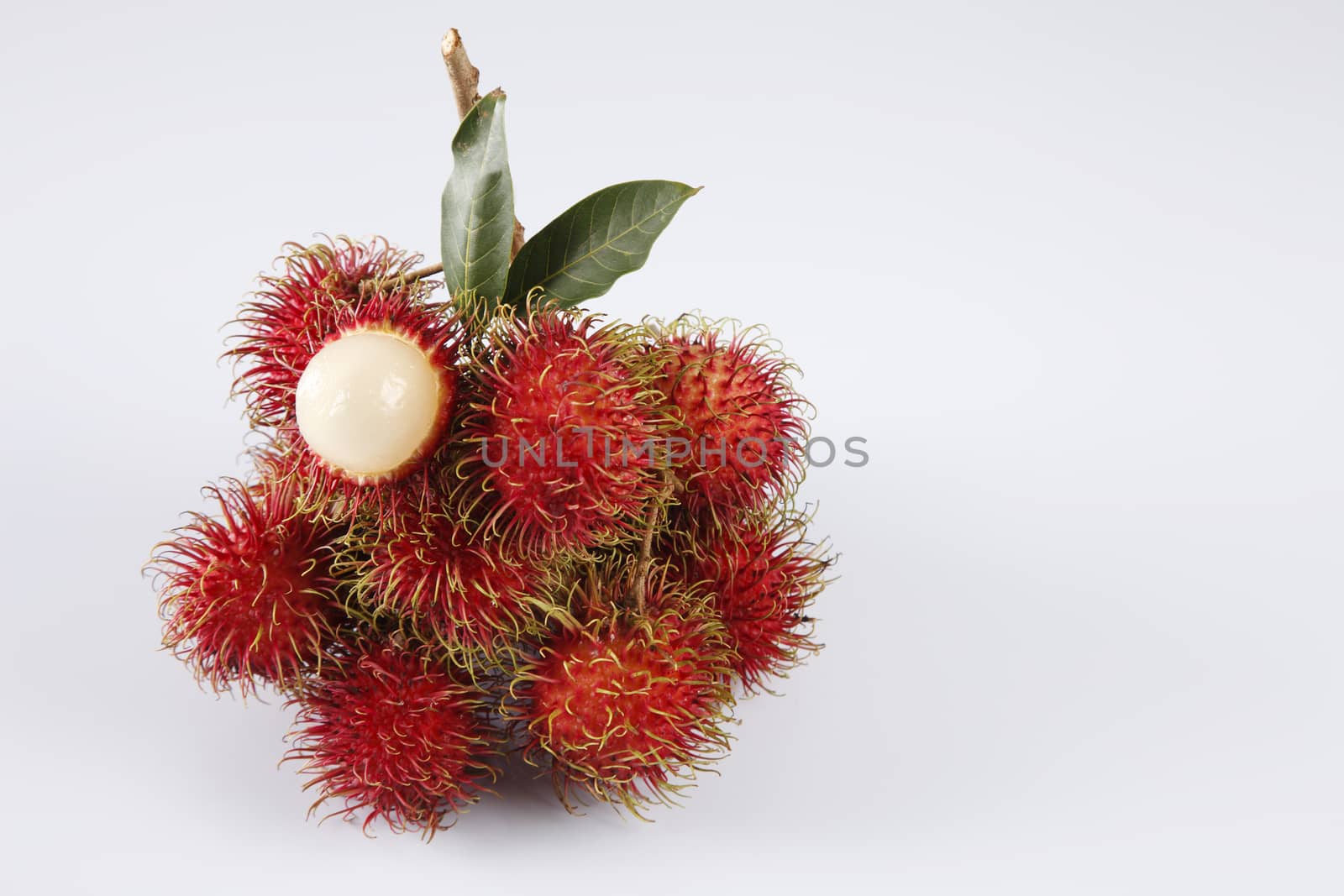 asian fruit rambutan on the plain background